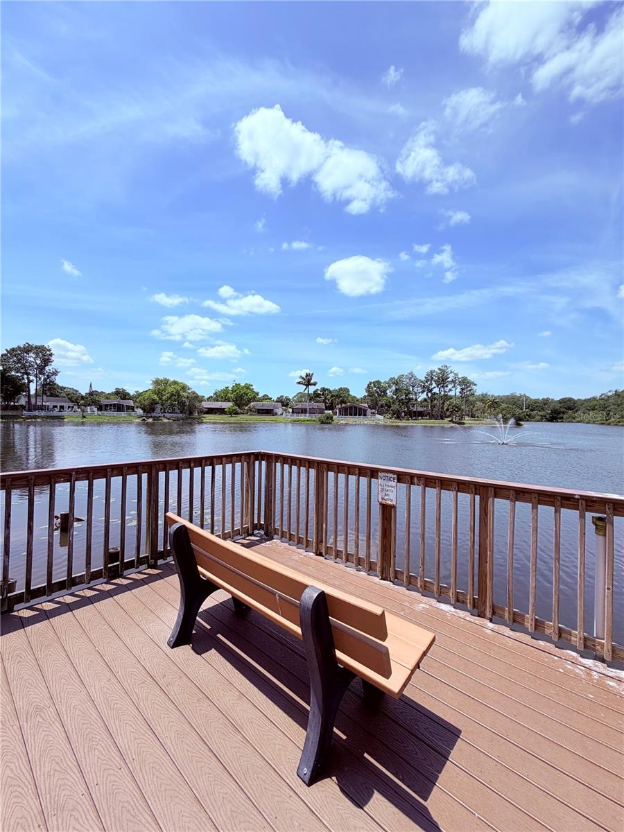 129 CAMPHOR CIR #F, OLDSMAR, FL, 34677