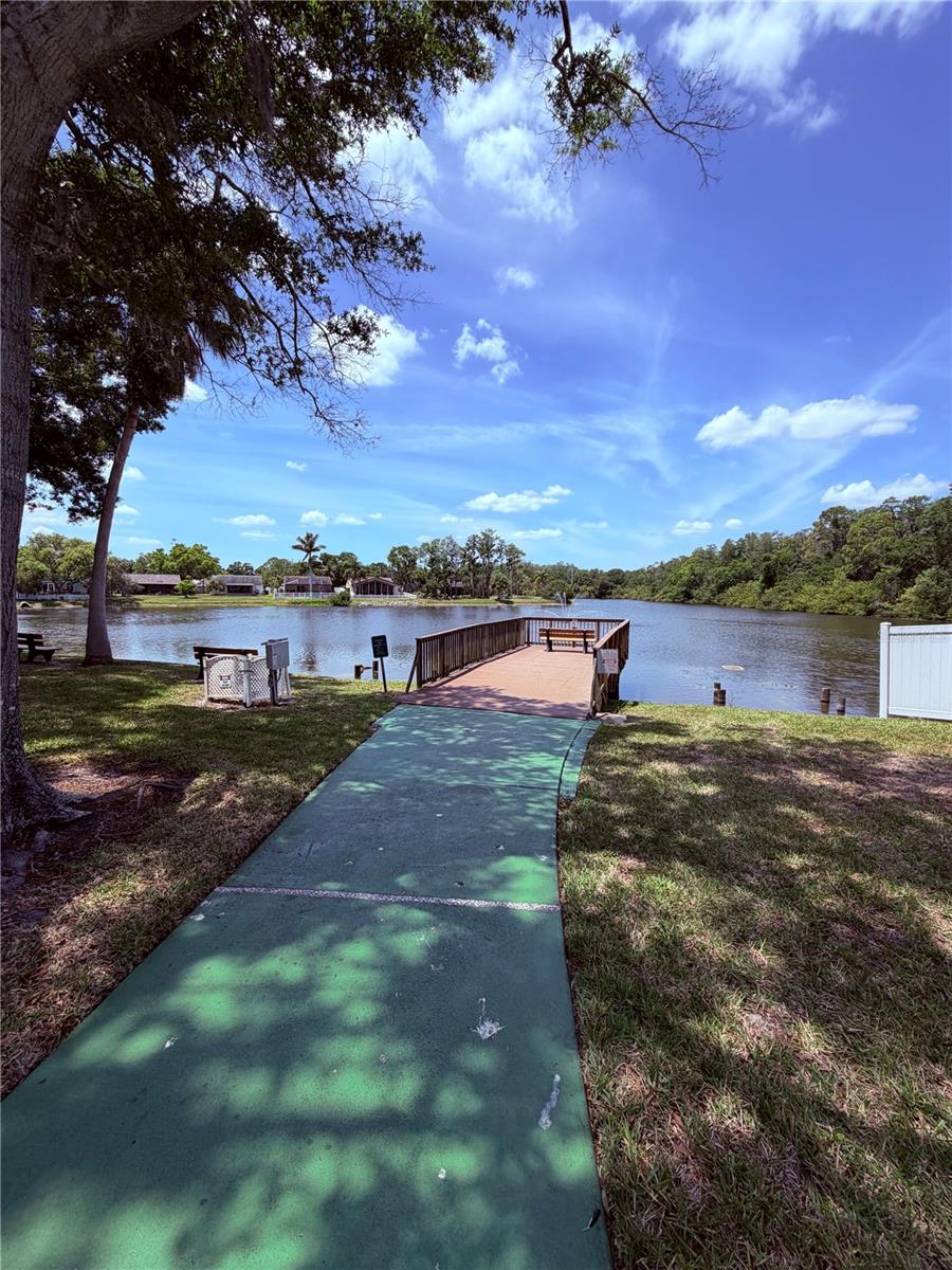 129 CAMPHOR CIR #F, OLDSMAR, FL, 34677