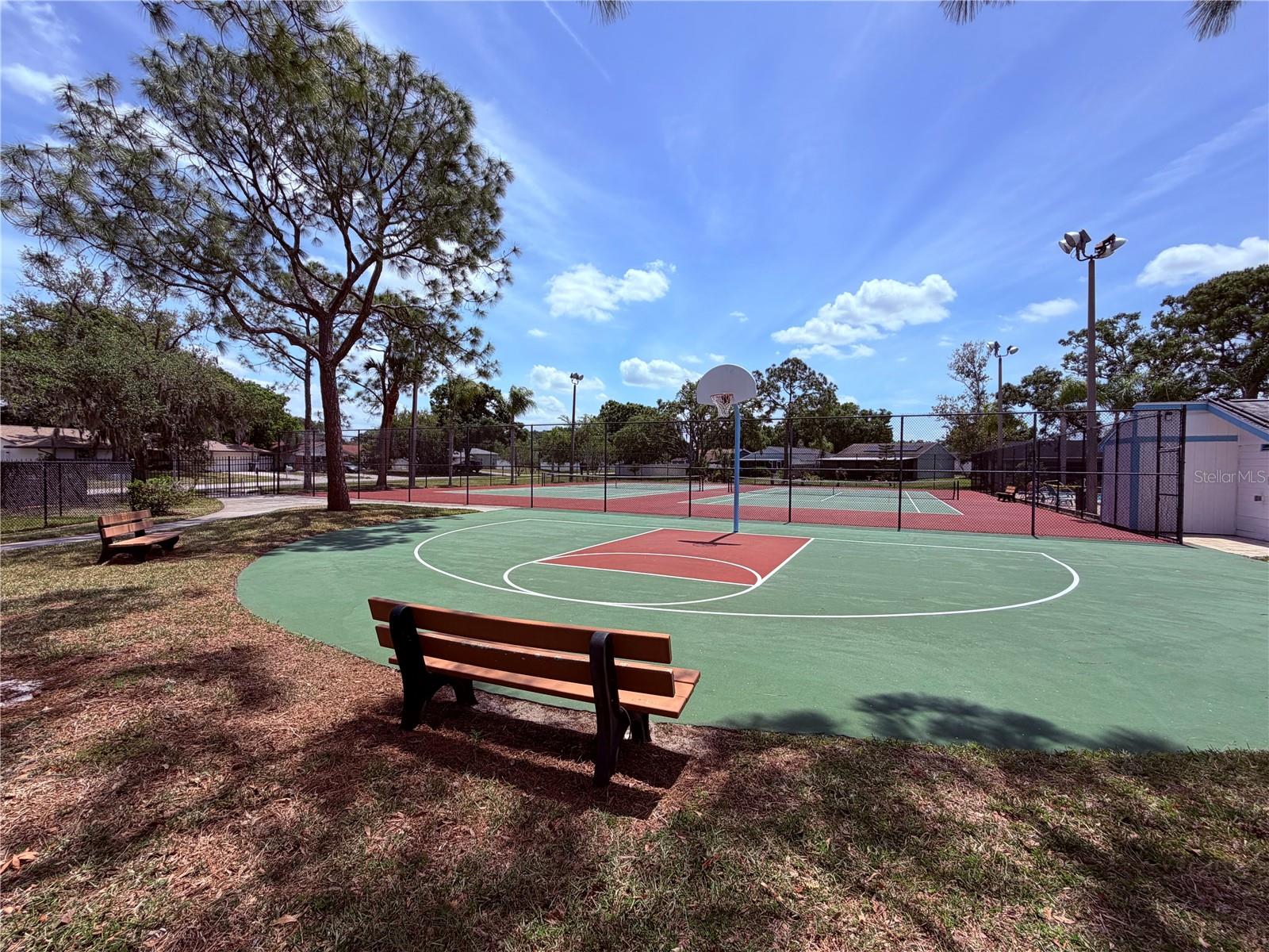 129 CAMPHOR CIR #F, OLDSMAR, FL, 34677