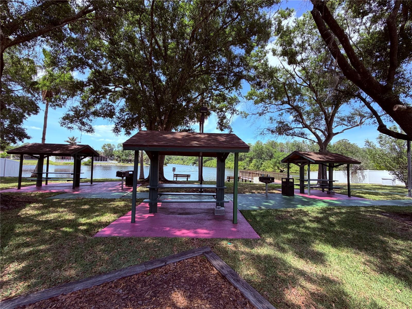 129 CAMPHOR CIR #F, OLDSMAR, FL, 34677