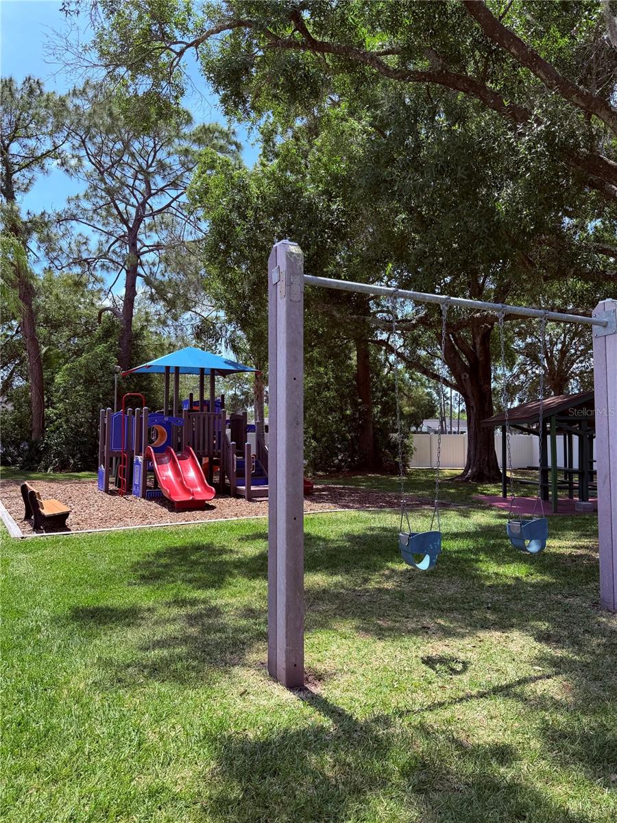 129 CAMPHOR CIR #F, OLDSMAR, FL, 34677