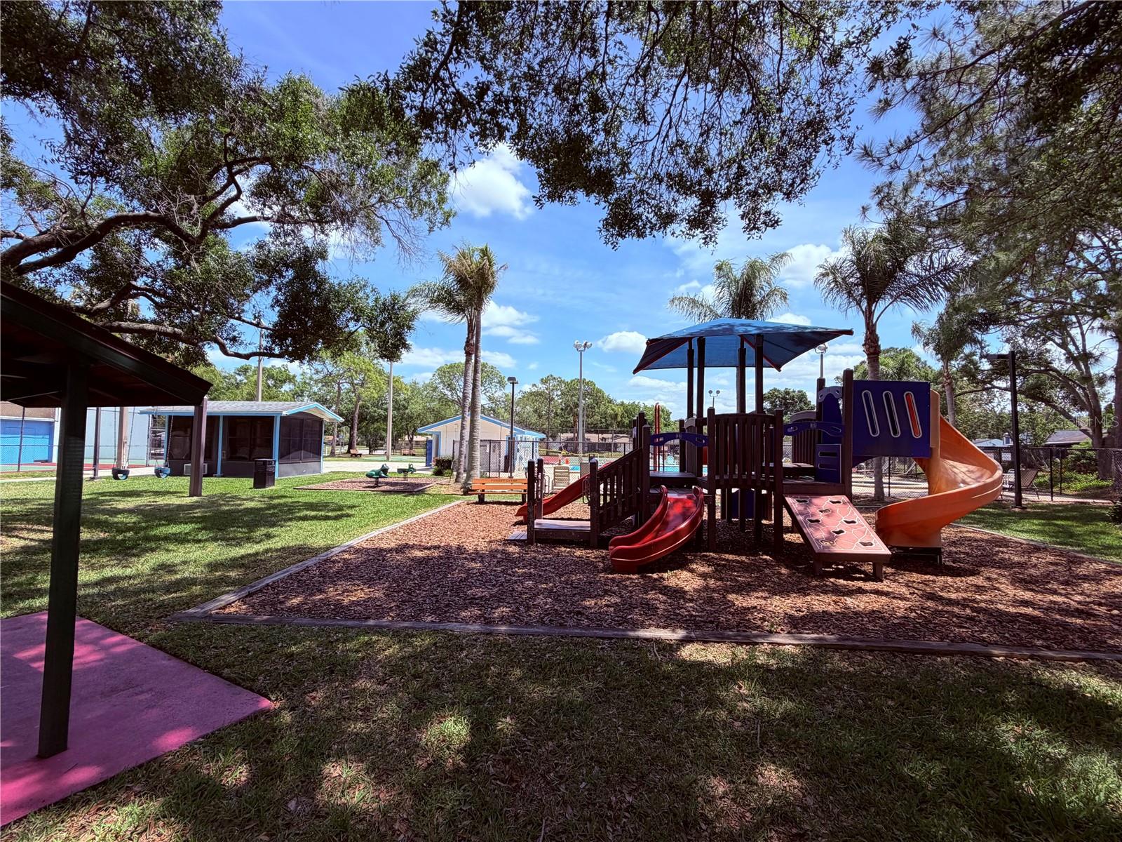 129 CAMPHOR CIR #F, OLDSMAR, FL, 34677