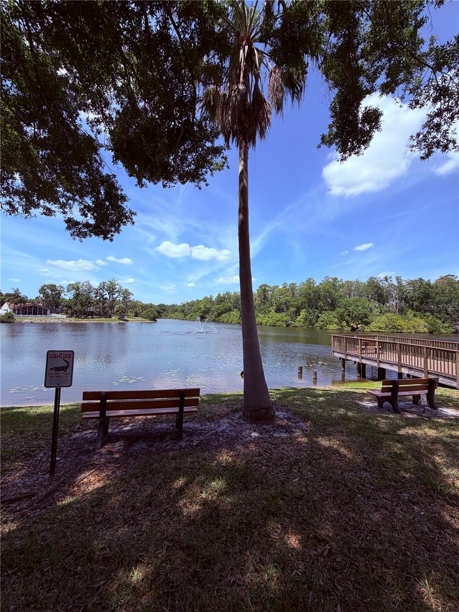129 CAMPHOR CIR #F, OLDSMAR, FL, 34677