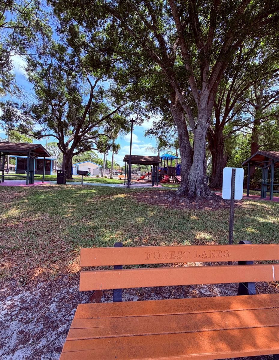 129 CAMPHOR CIR #F, OLDSMAR, FL, 34677