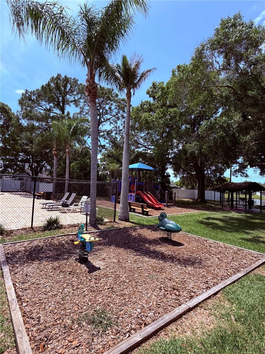 129 CAMPHOR CIR #F, OLDSMAR, FL, 34677