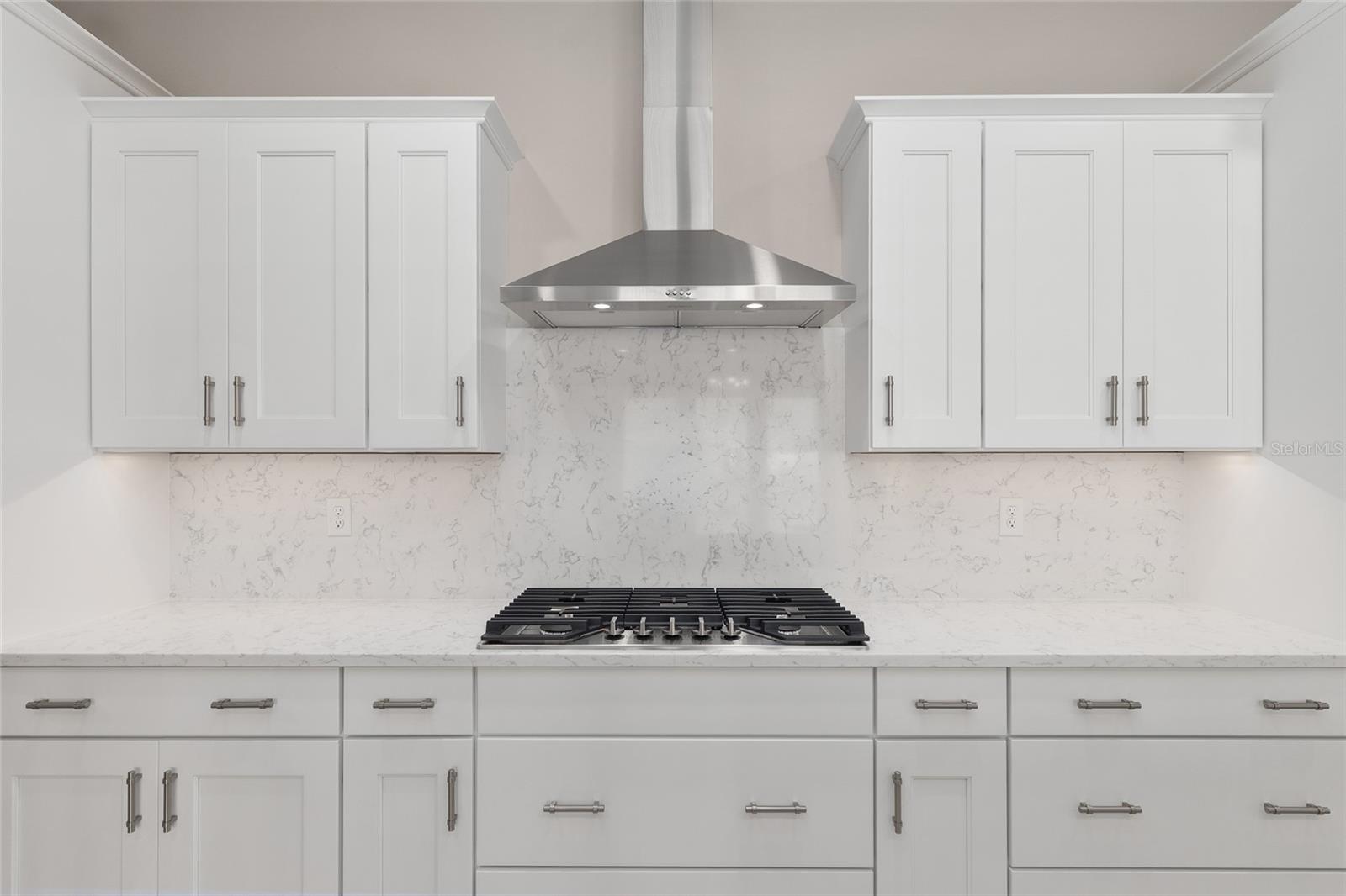 8501 SW 101ST TER, OCALA, FL, 34481