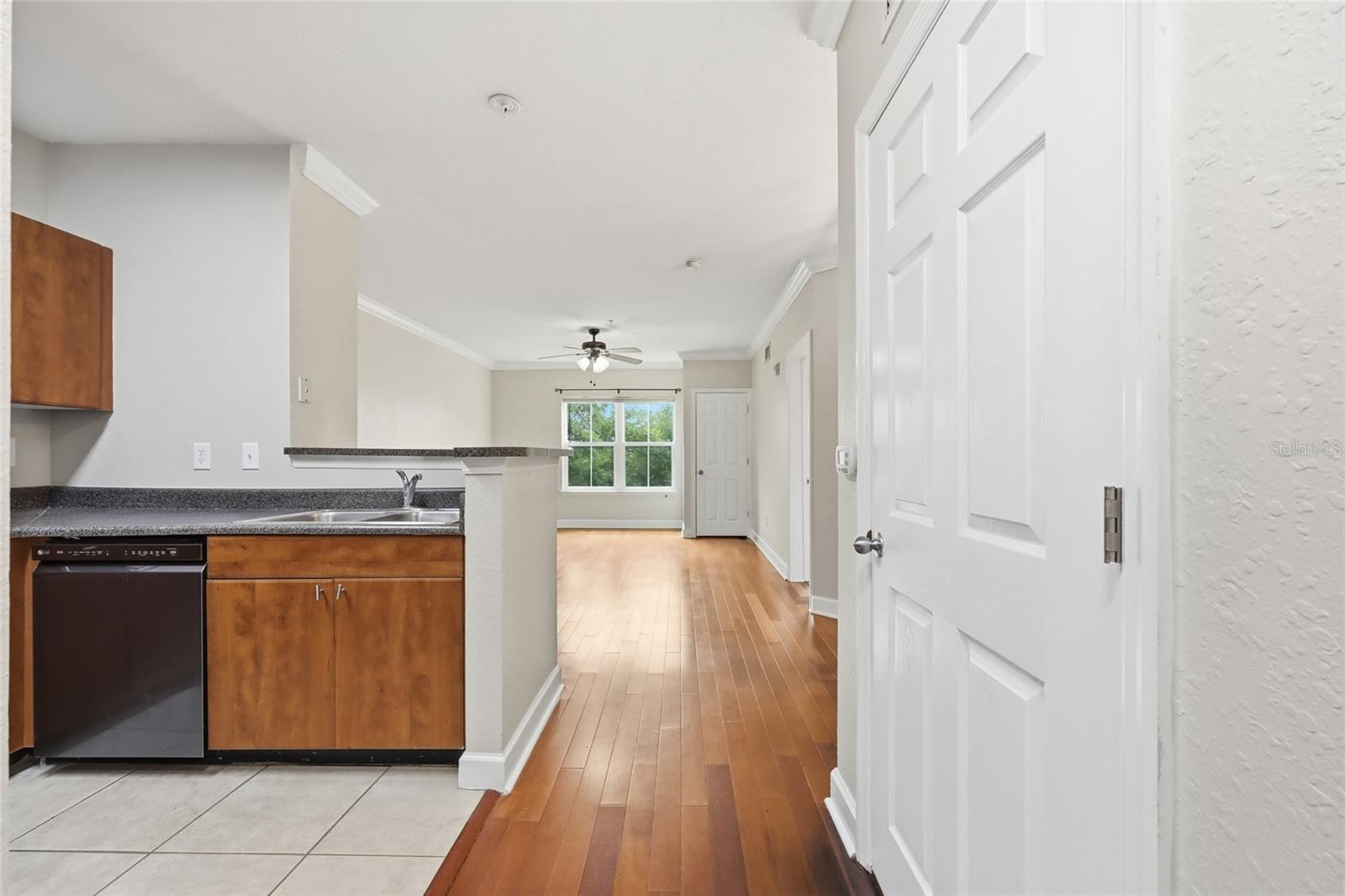 204 E SOUTH ST #4053, ORLANDO, FL, 32801