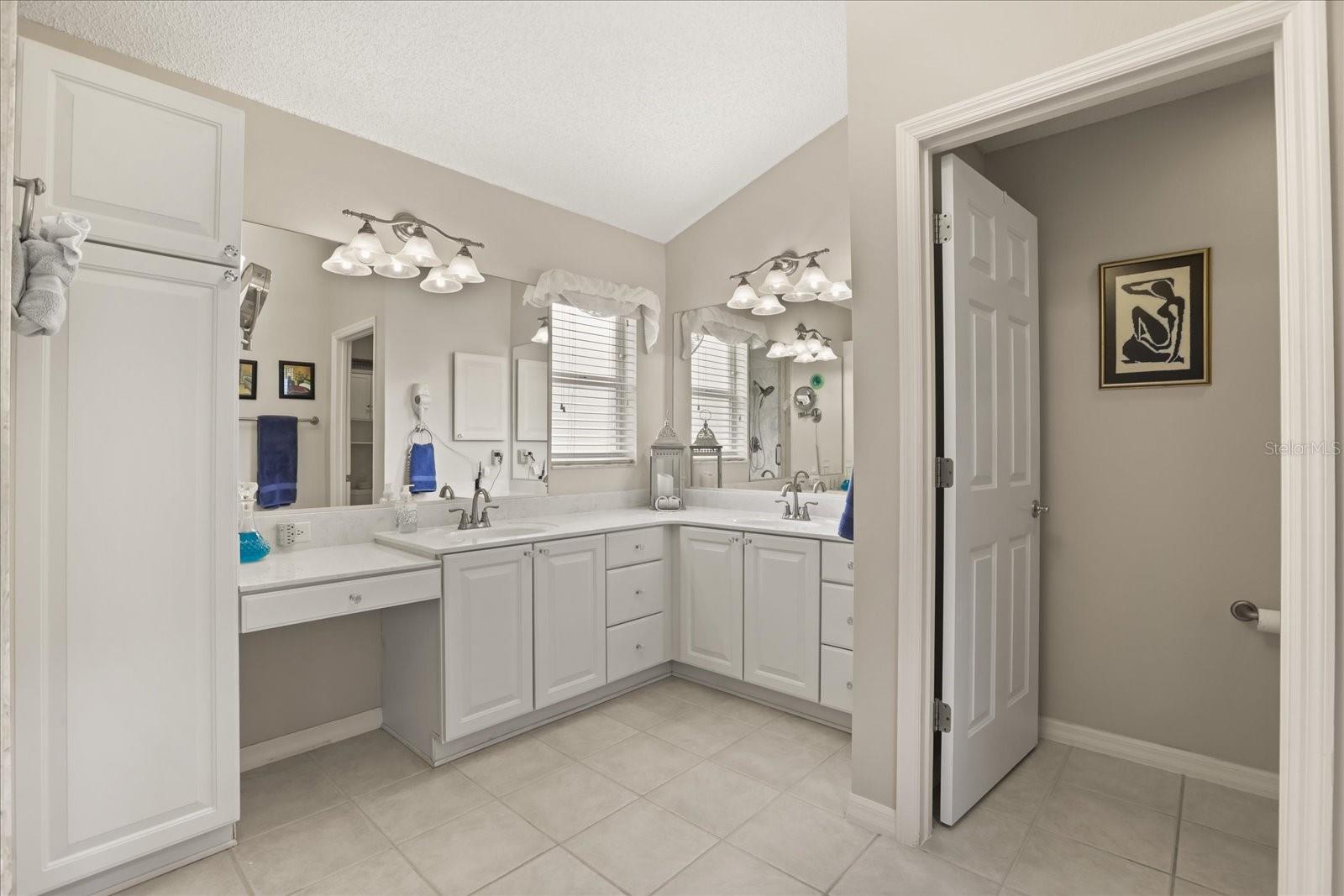 17270 SE 85TH WILLOWICK CIR, THE VILLAGES, FL, 32162