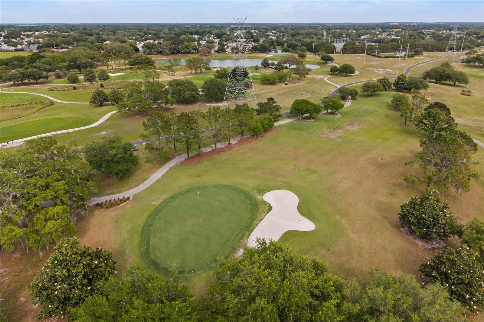 17270 SE 85TH WILLOWICK CIR, THE VILLAGES, FL, 32162