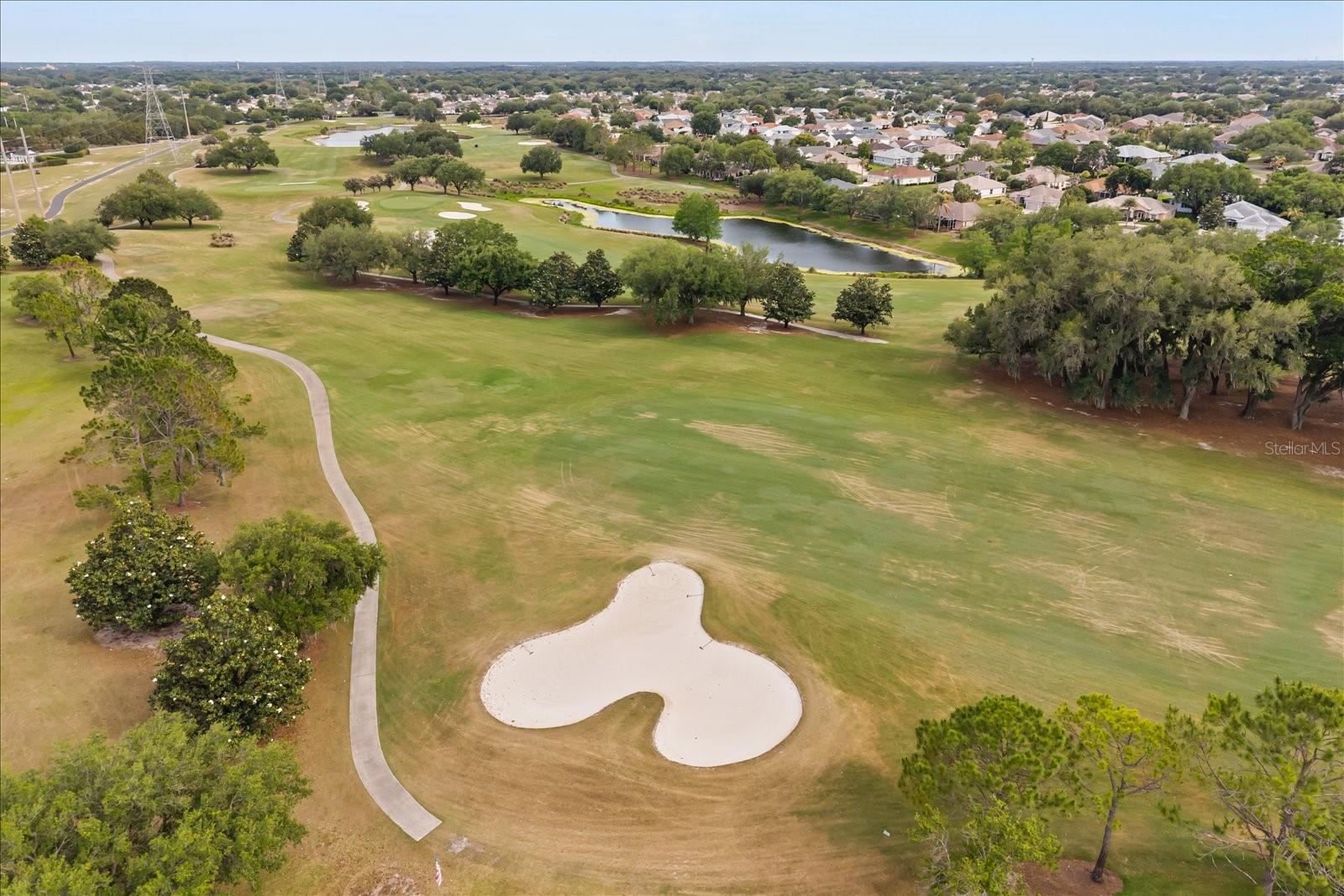 17270 SE 85TH WILLOWICK CIR, THE VILLAGES, FL, 32162