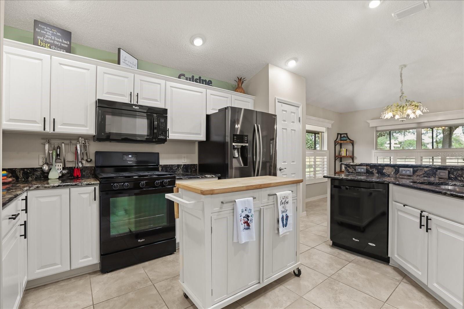 17270 SE 85TH WILLOWICK CIR, THE VILLAGES, FL, 32162