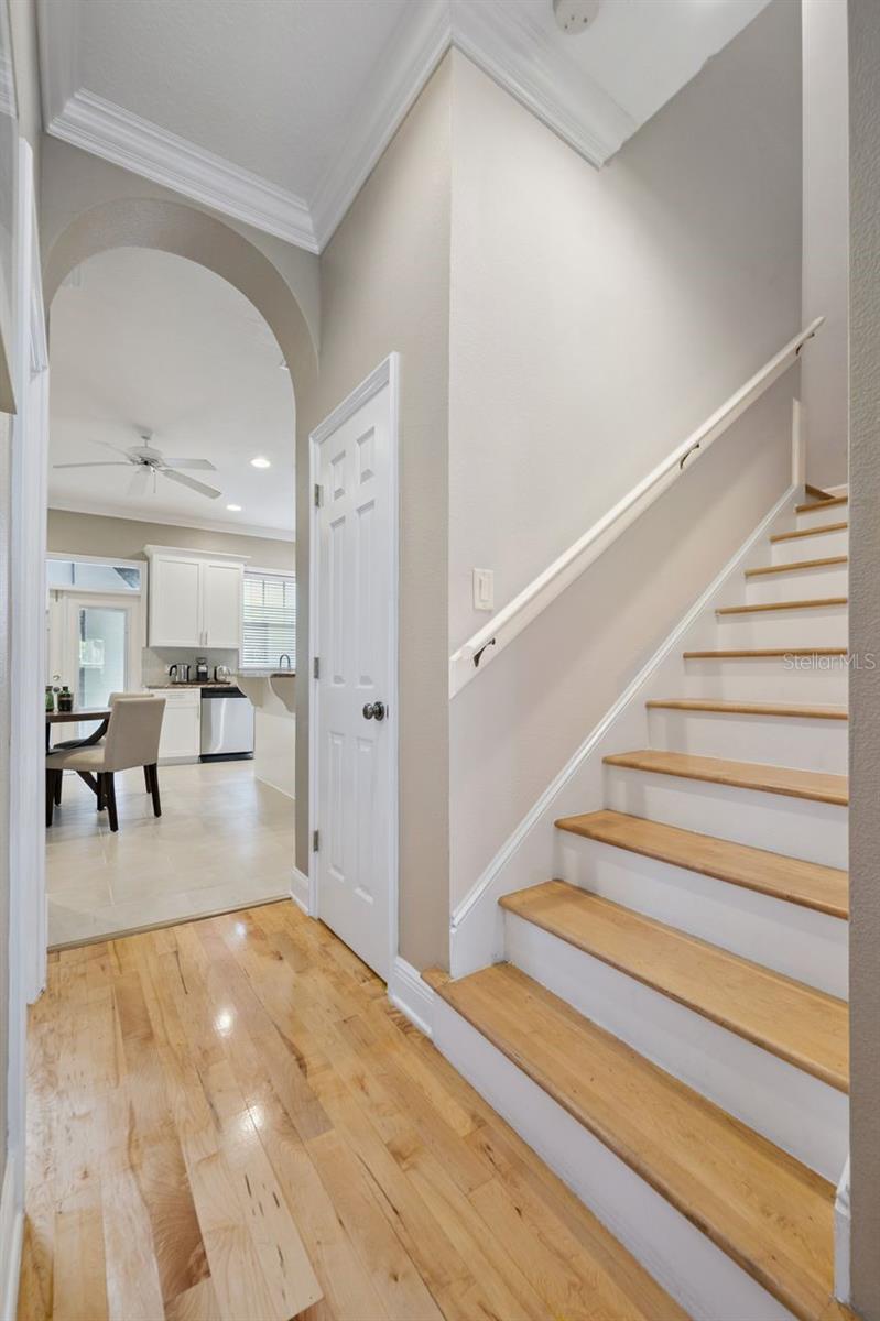 1151 DELANEY AVE #3, ORLANDO, FL, 32806