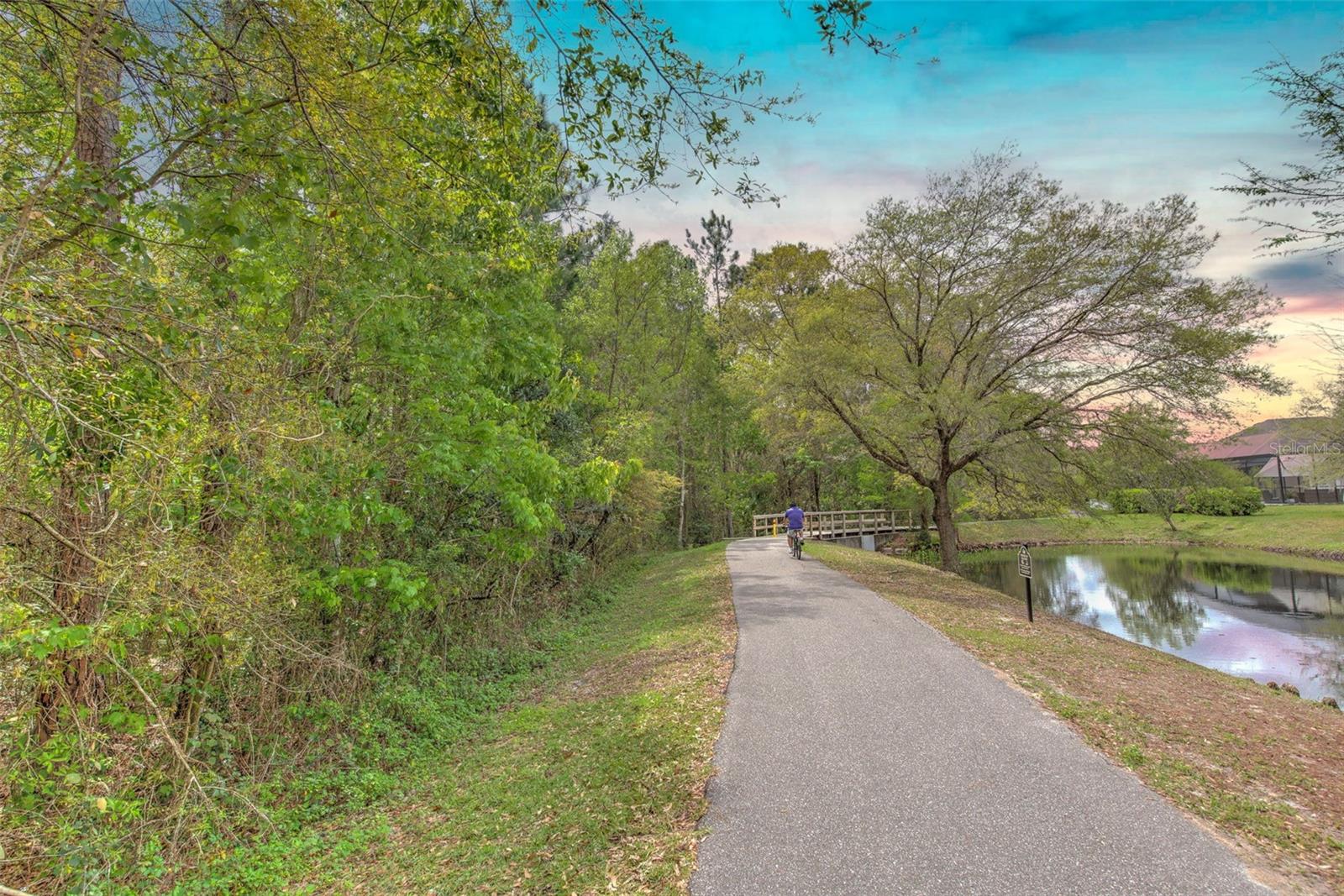 27601 BAYBROOK LOOP, WESLEY CHAPEL, FL, 33544