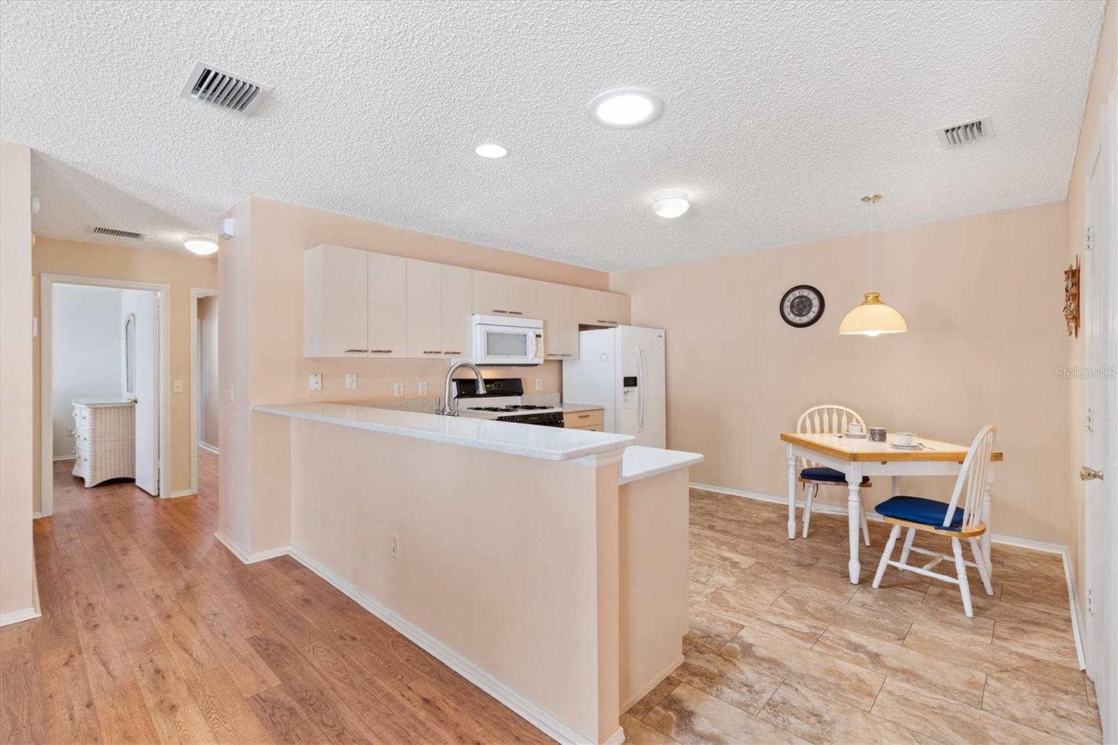17449 SE 93RD VINE AVE, THE VILLAGES, FL, 32162