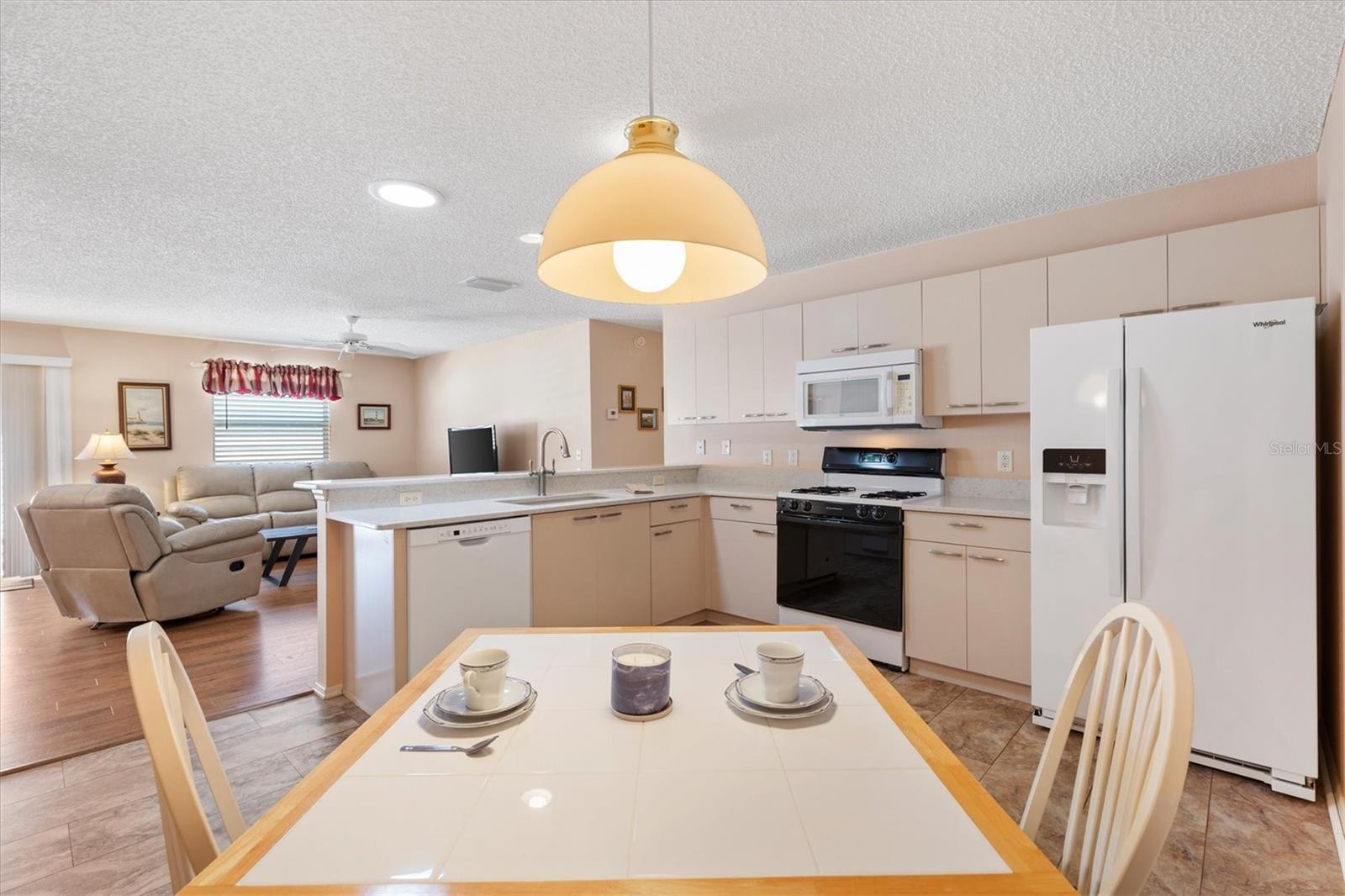 17449 SE 93RD VINE AVE, THE VILLAGES, FL, 32162
