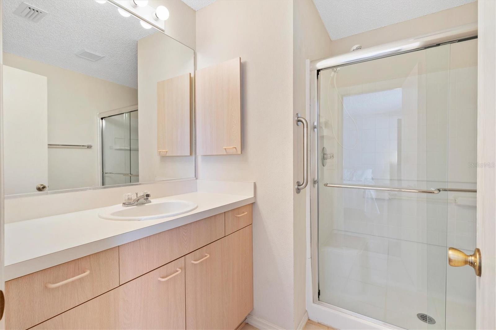 17449 SE 93RD VINE AVE, THE VILLAGES, FL, 32162