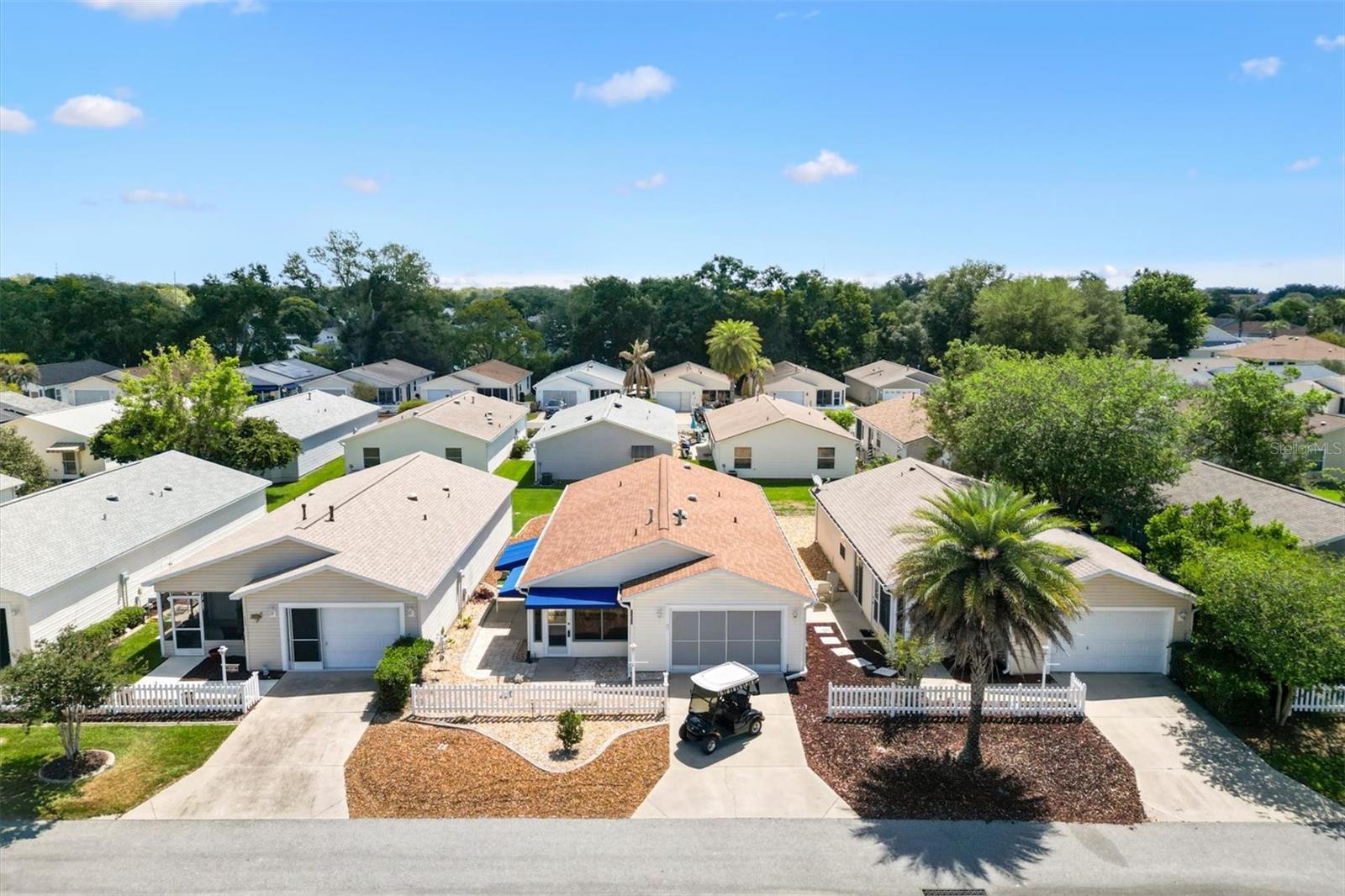 17449 SE 93RD VINE AVE, THE VILLAGES, FL, 32162