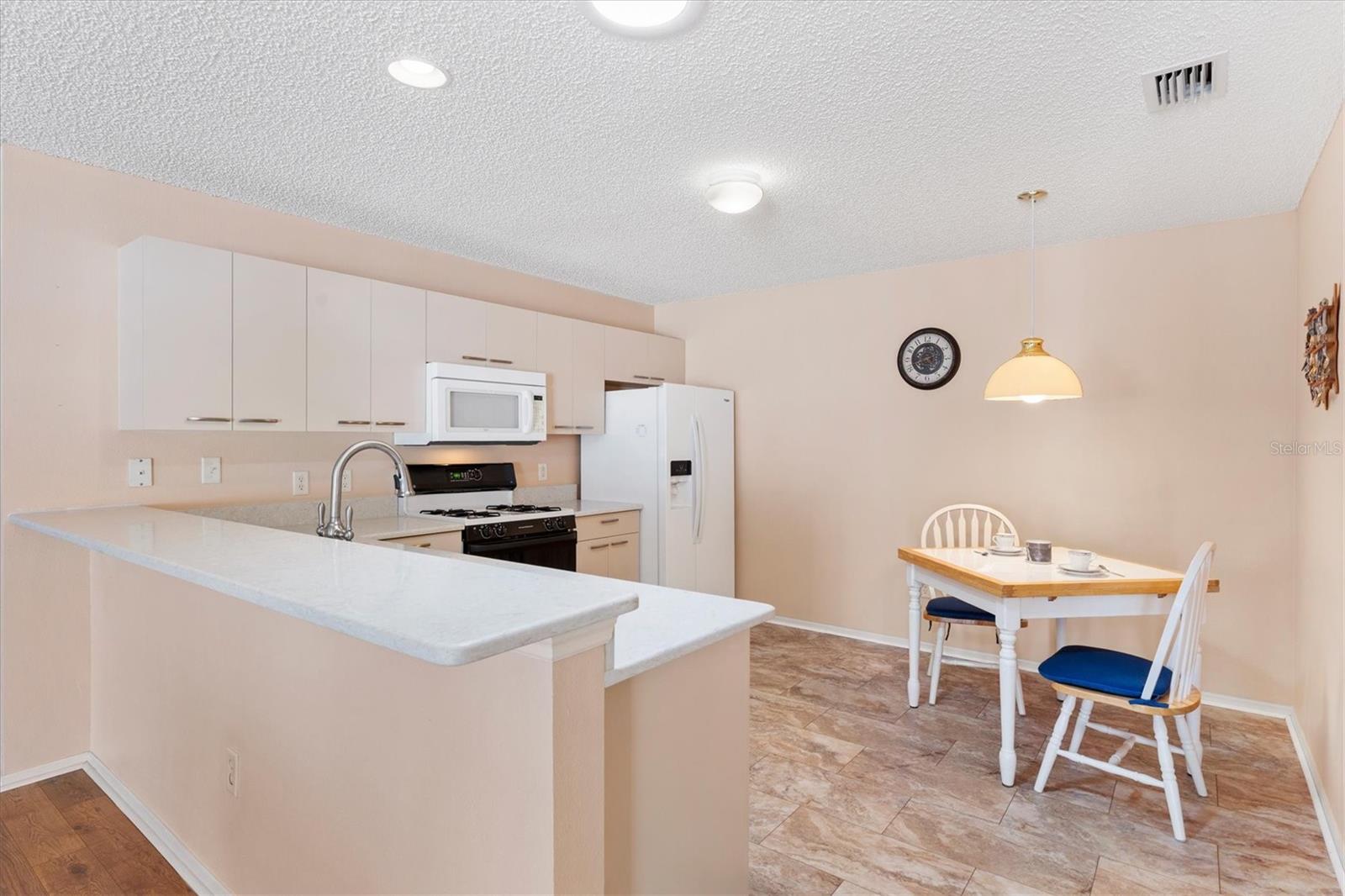 17449 SE 93RD VINE AVE, THE VILLAGES, FL, 32162