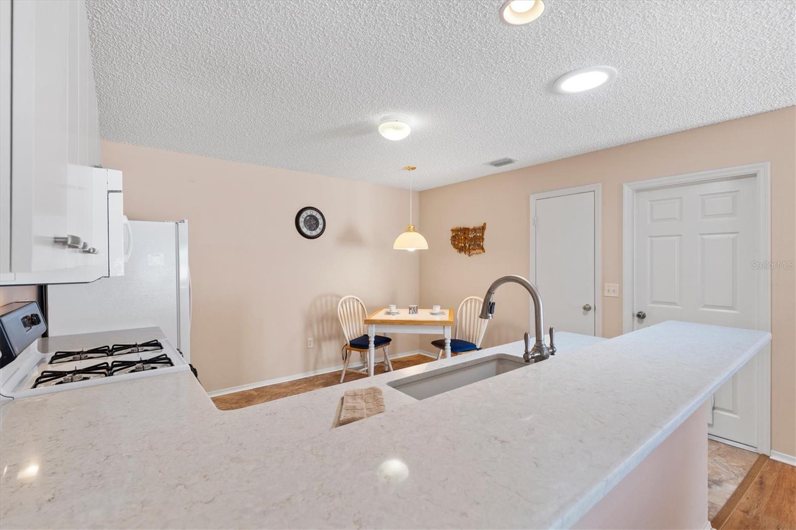 17449 SE 93RD VINE AVE, THE VILLAGES, FL, 32162