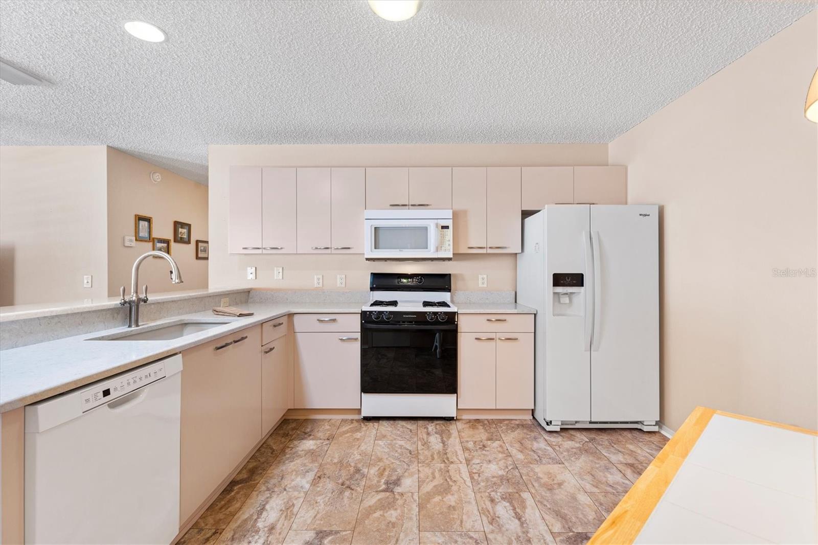 17449 SE 93RD VINE AVE, THE VILLAGES, FL, 32162