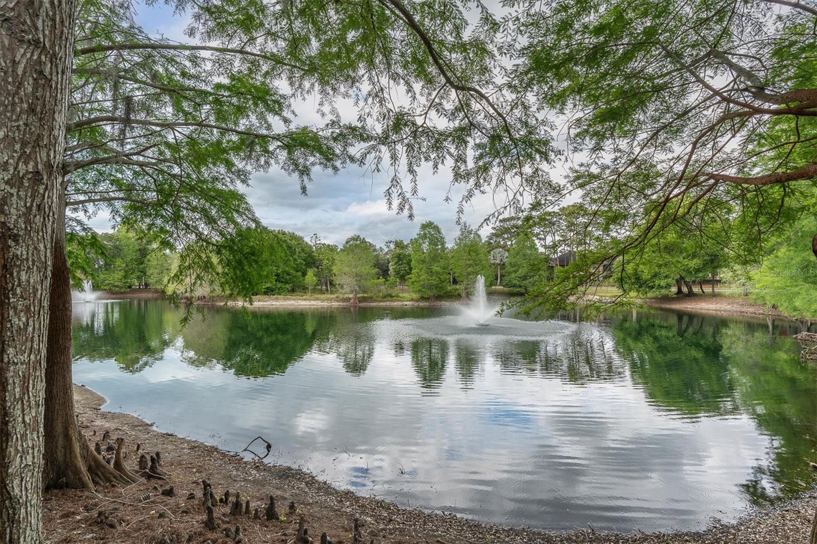 2217 TUSCANY TRCE #188, PALM HARBOR, FL, 34683