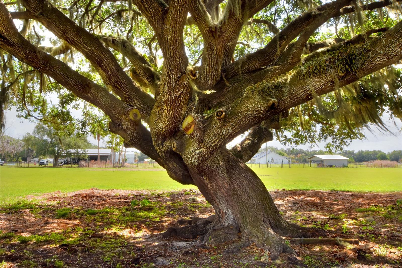 0 DORMAN RD, LITHIA, FL, 33547