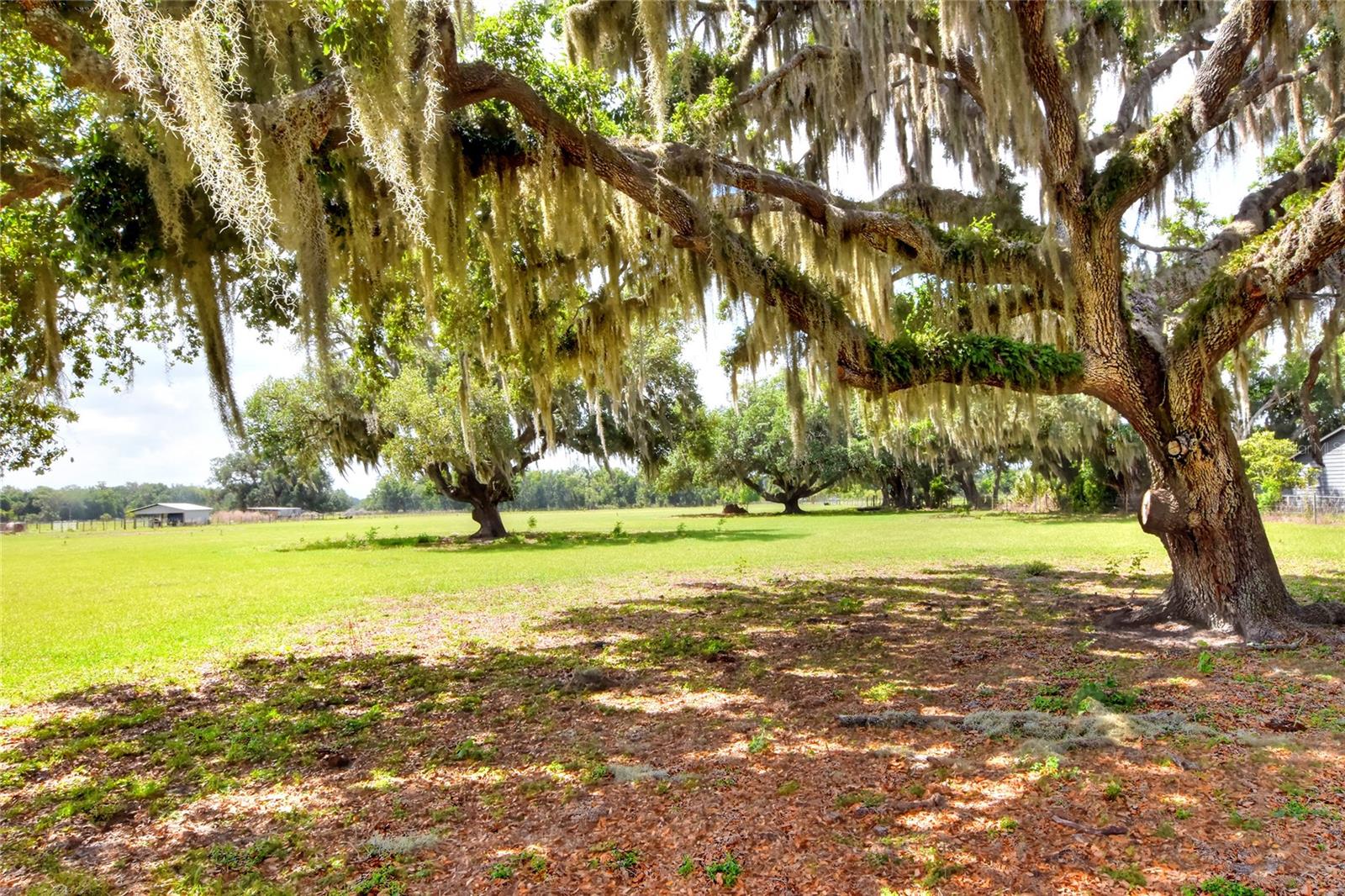 0 DORMAN RD, LITHIA, FL, 33547