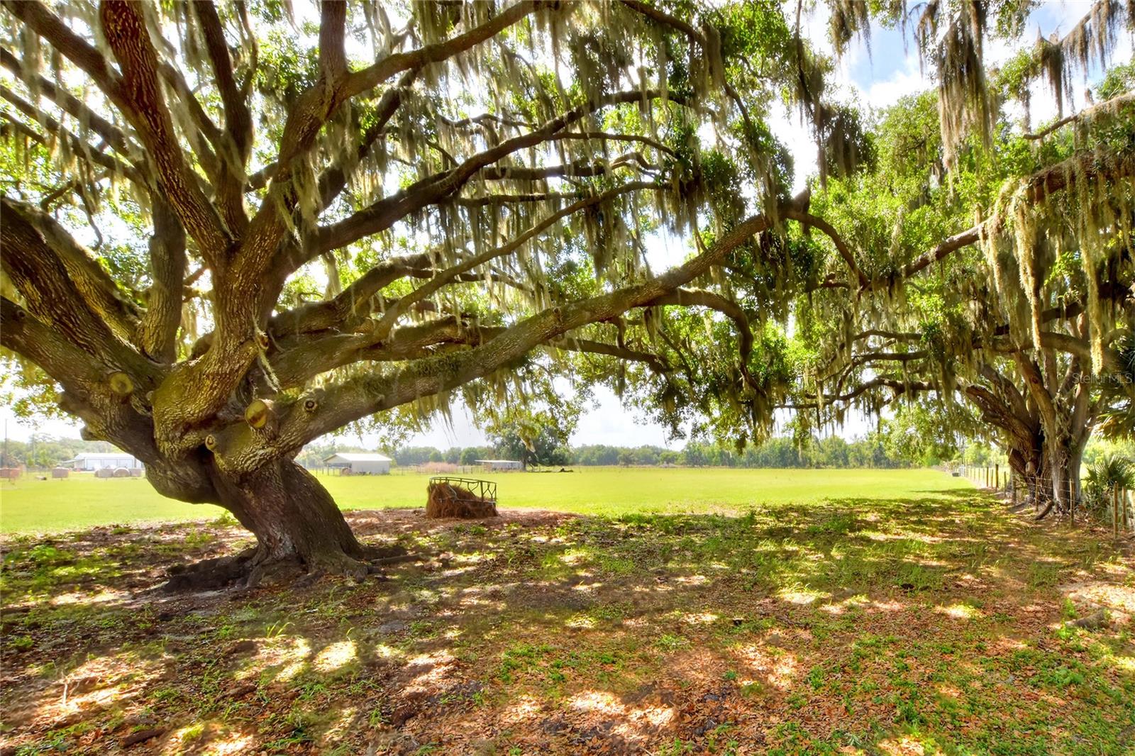 0 DORMAN RD, LITHIA, FL, 33547