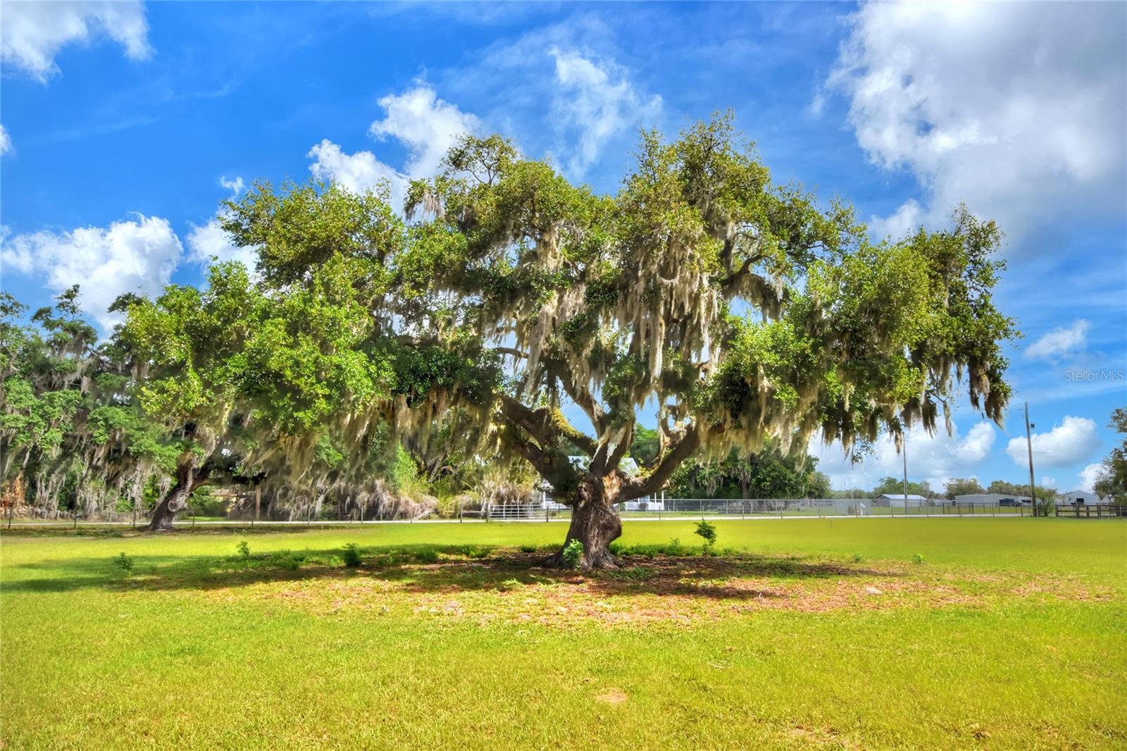 0 DORMAN RD, LITHIA, FL, 33547