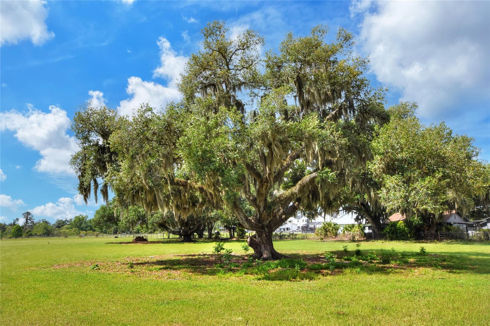 0 DORMAN RD, LITHIA, FL, 33547