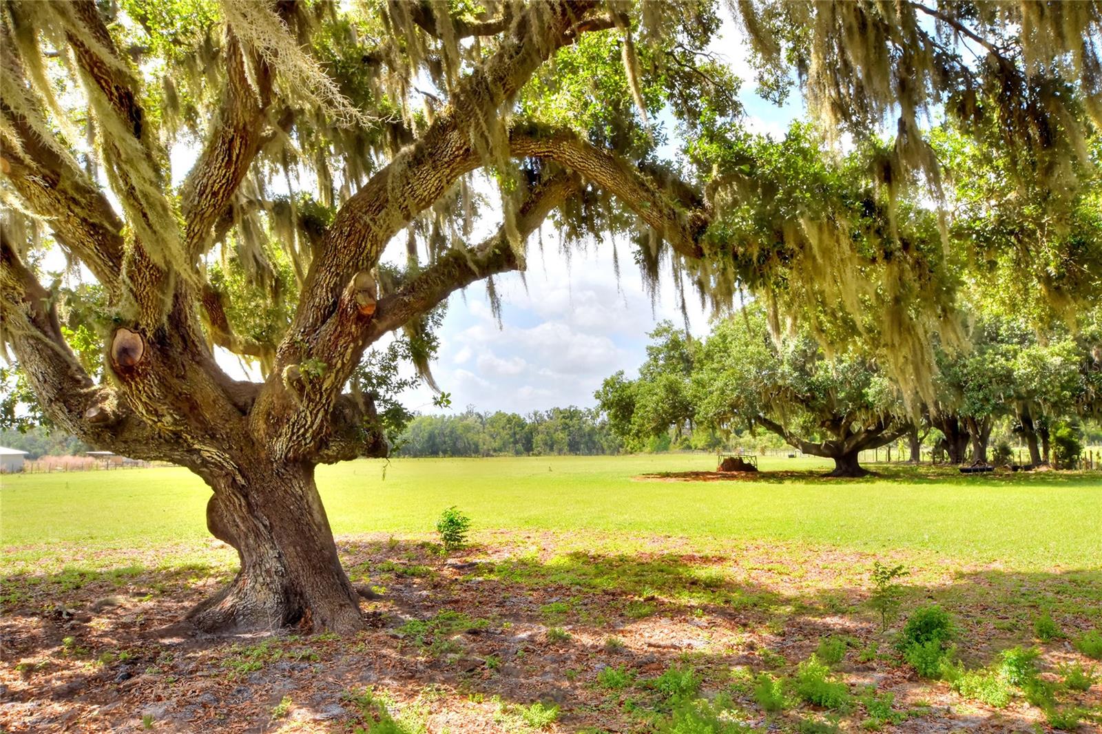 0 DORMAN RD, LITHIA, FL, 33547