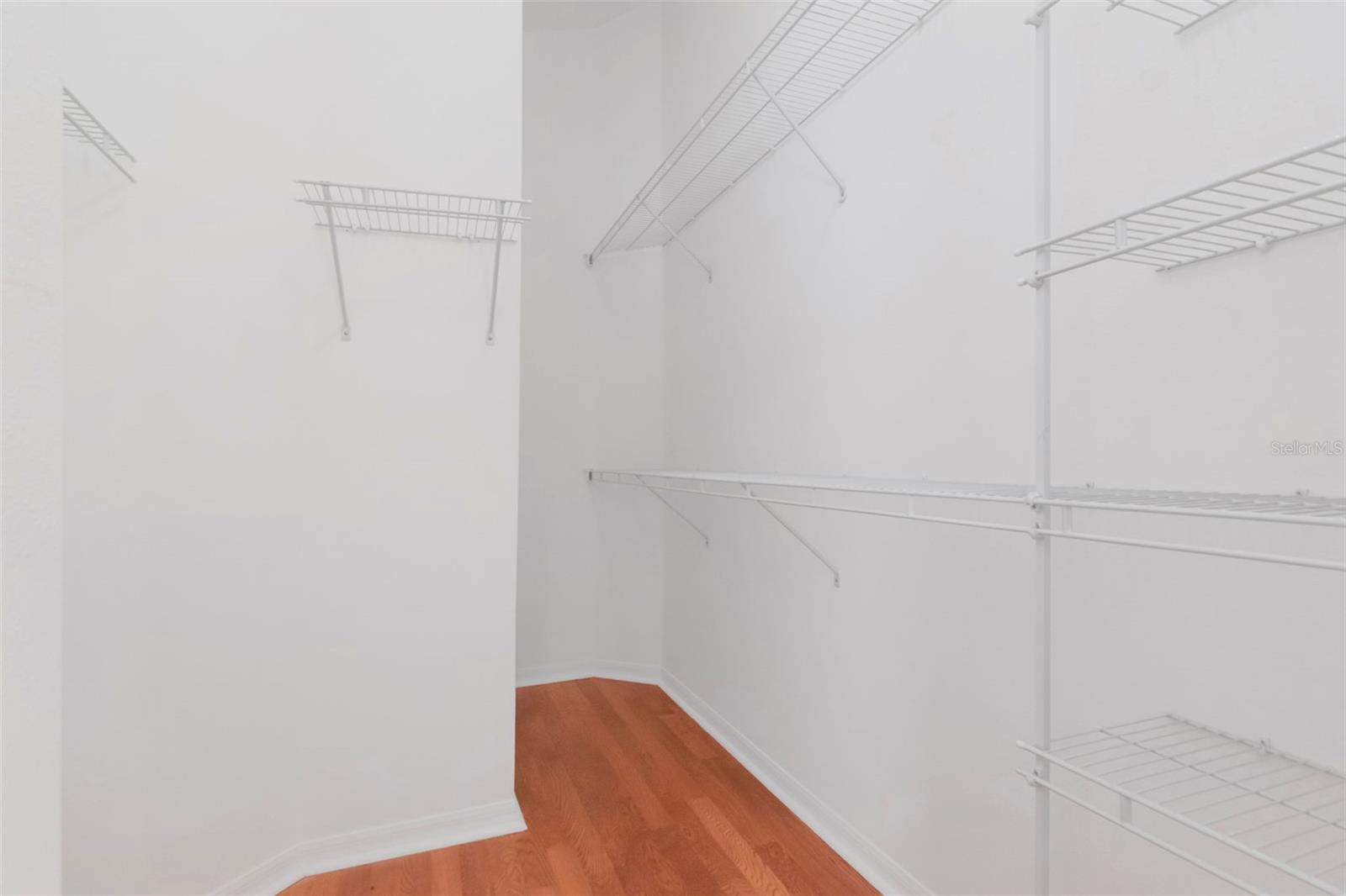 3201 DUNSTABLE DR, LAND O LAKES, FL, 34638