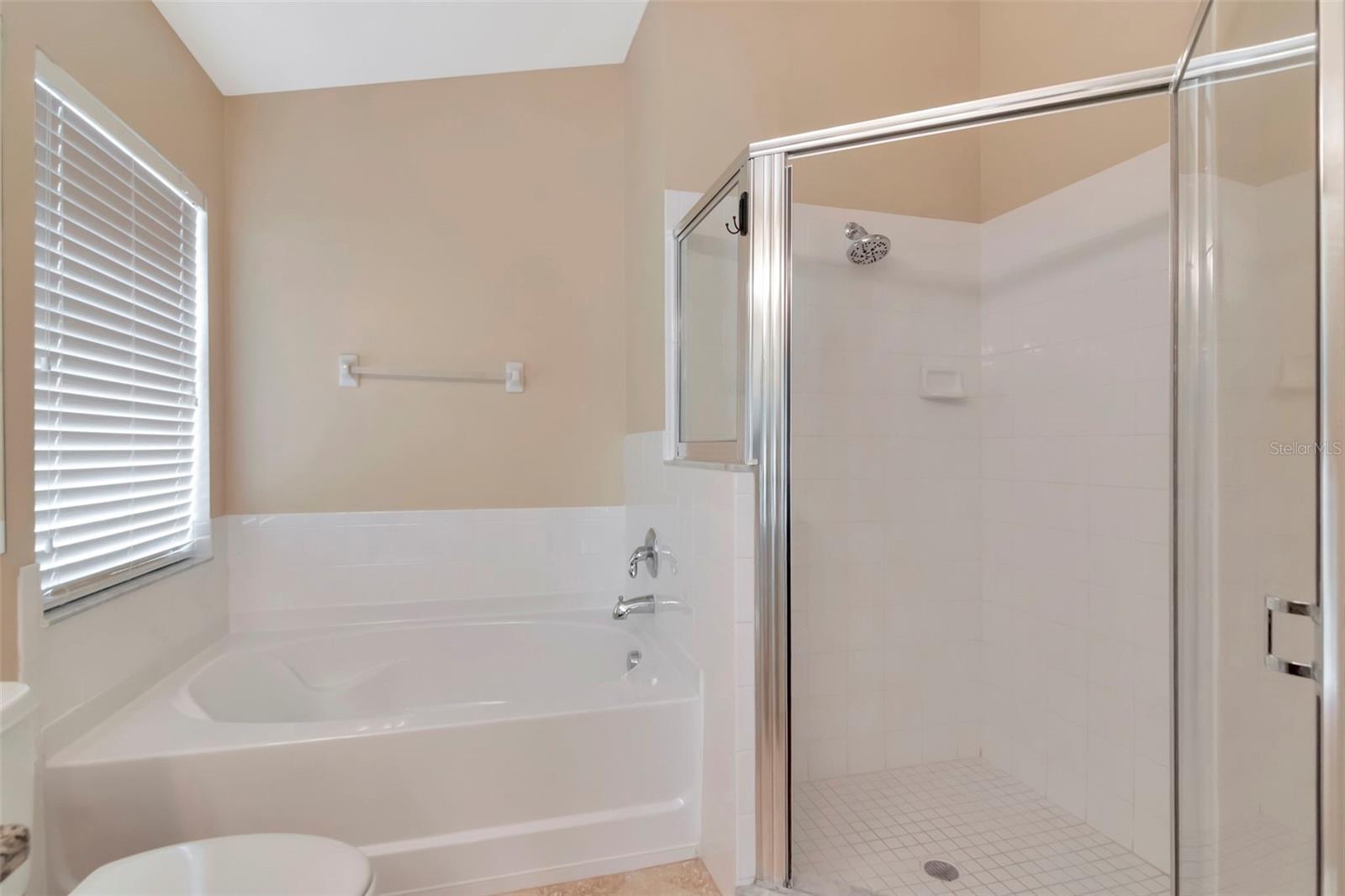 3201 DUNSTABLE DR, LAND O LAKES, FL, 34638