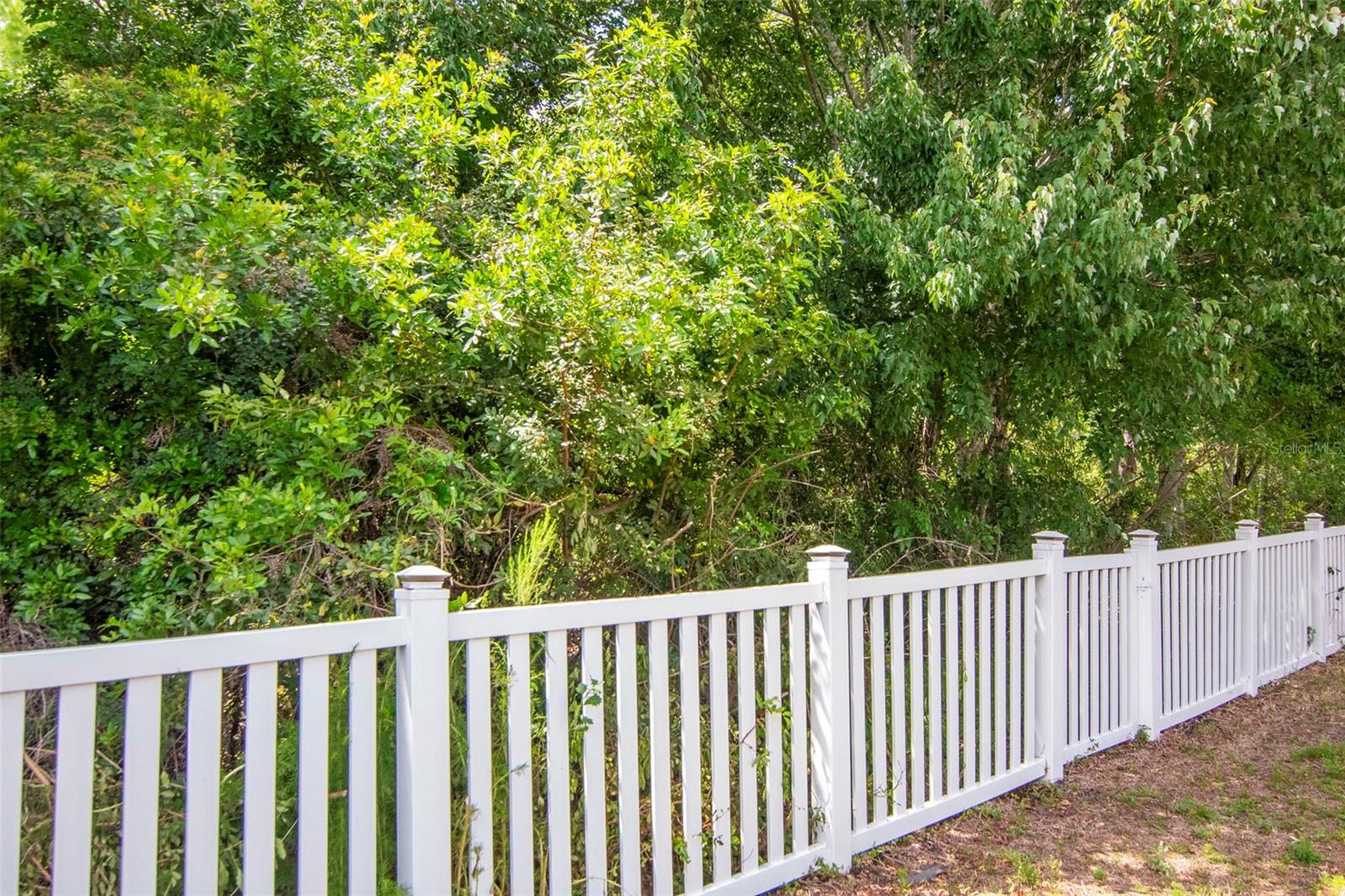 3201 DUNSTABLE DR, LAND O LAKES, FL, 34638