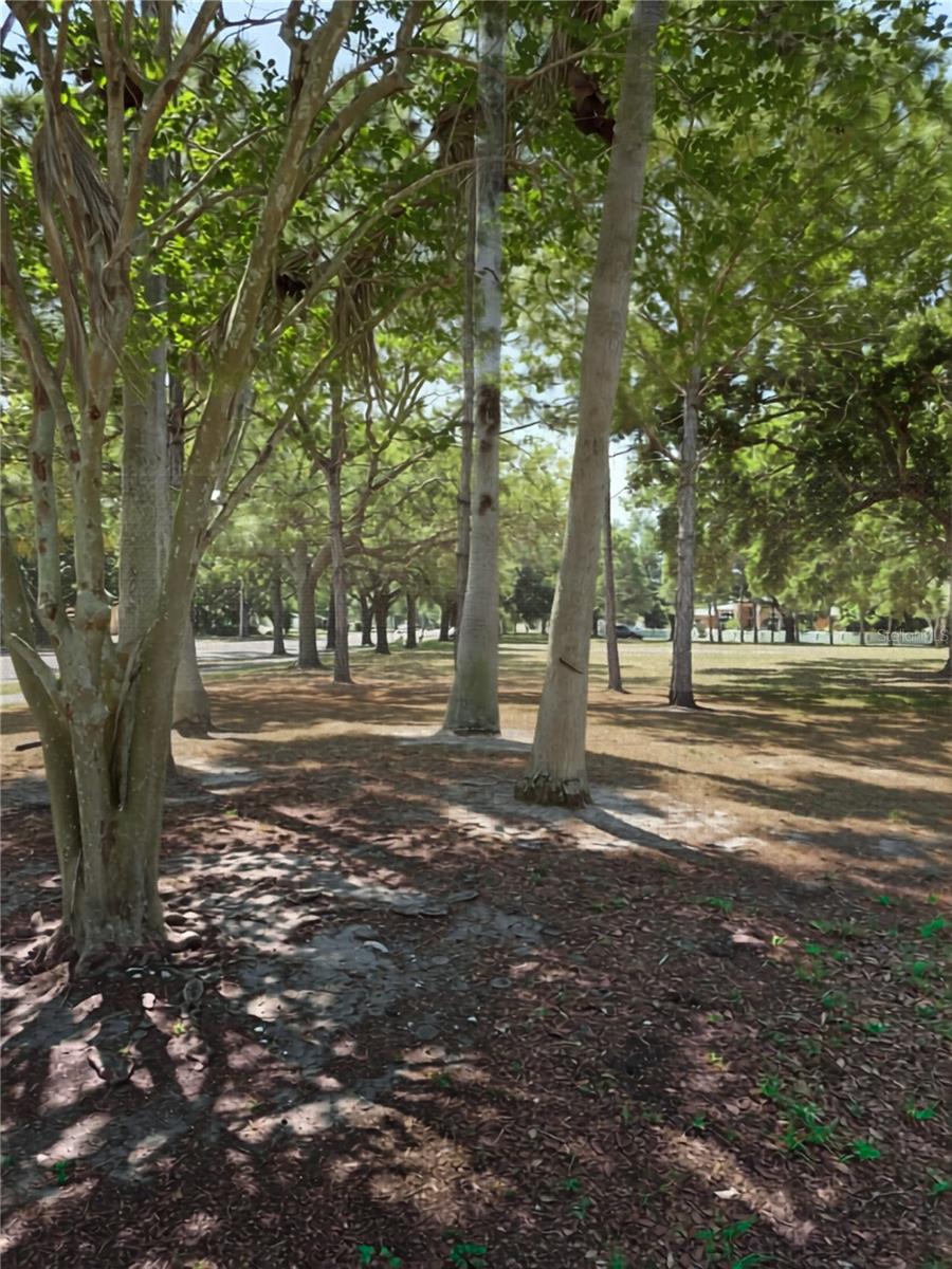 5210 DR MARTIN LUTHER KING JR ST N ST, ST PETERSBURG, FL, 33703