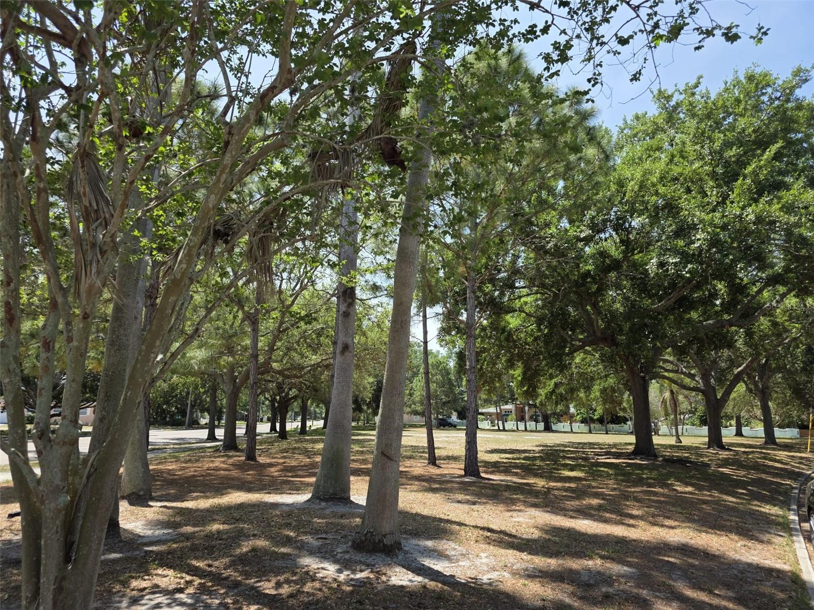 5210 DR MARTIN LUTHER KING JR ST N ST, ST PETERSBURG, FL, 33703