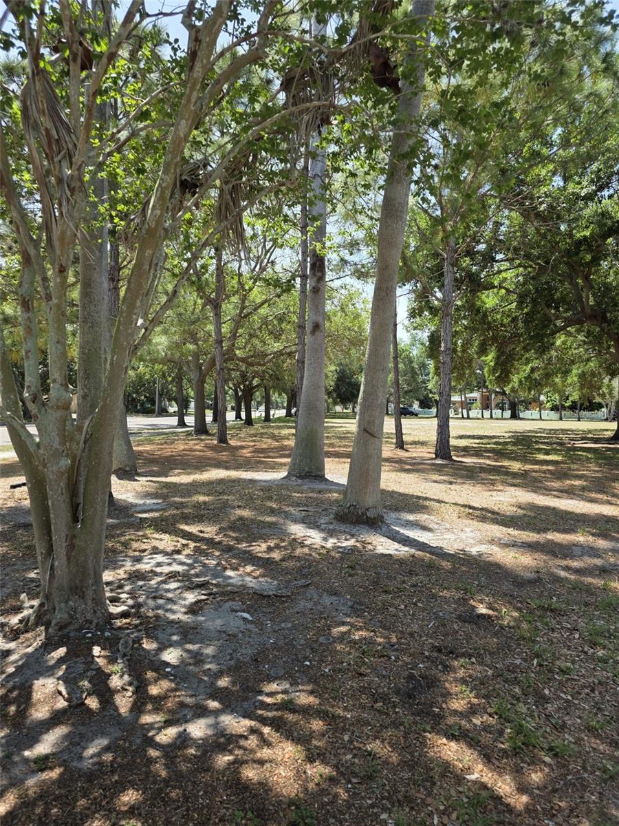 5210 DR MARTIN LUTHER KING JR ST N ST, ST PETERSBURG, FL, 33703