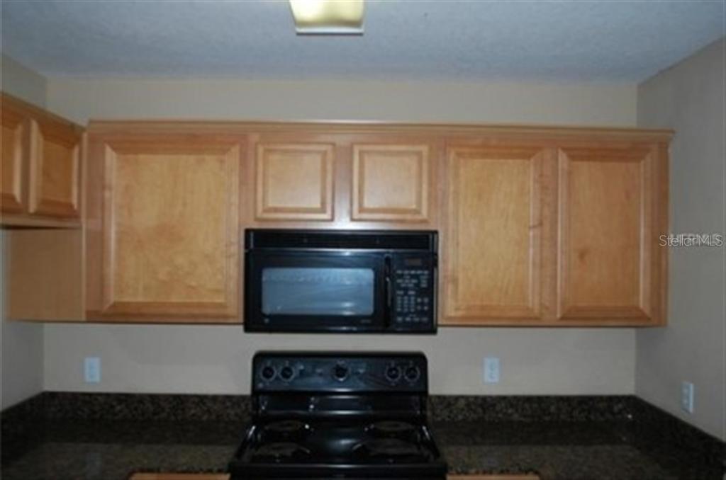 3419 DRAGON VIEW CT, VALRICO, FL, 33594