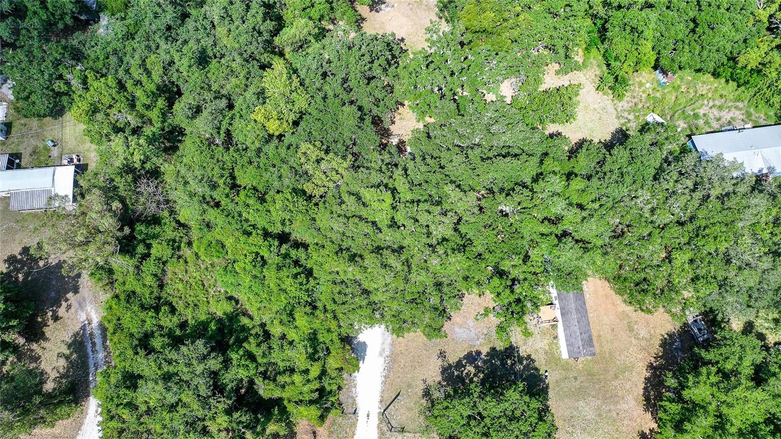 2403 SE POINTER AVE, ARCADIA, FL, 34266