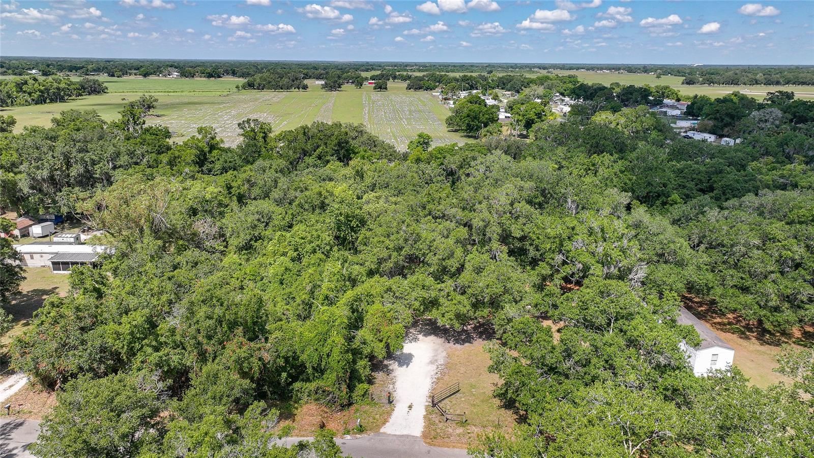 2403 SE POINTER AVE, ARCADIA, FL, 34266