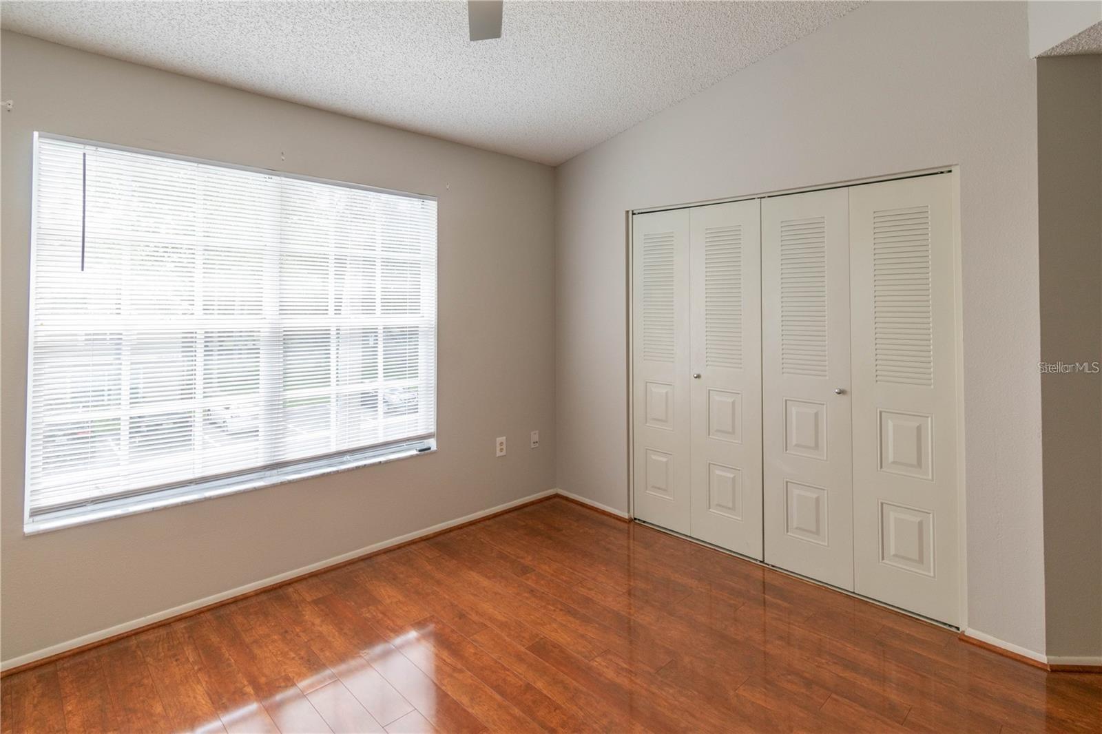 2897 THAXTON DR #65, PALM HARBOR, FL, 34684