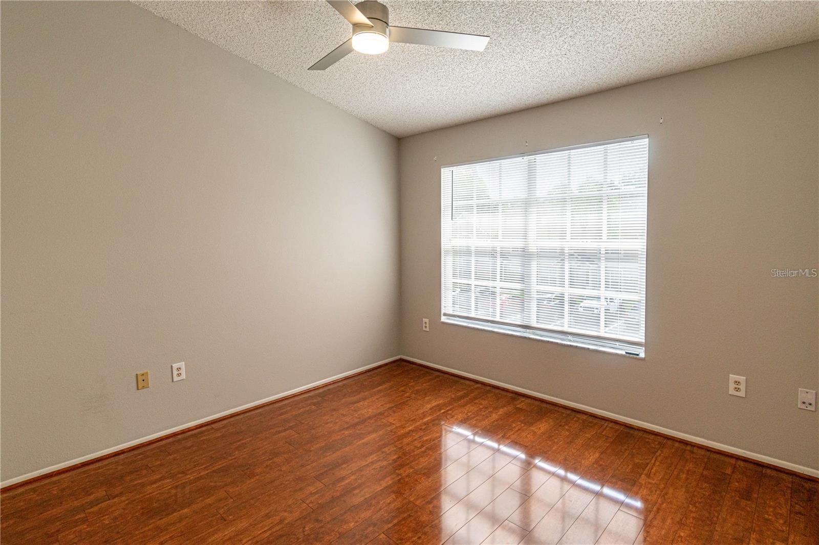 2897 THAXTON DR #65, PALM HARBOR, FL, 34684