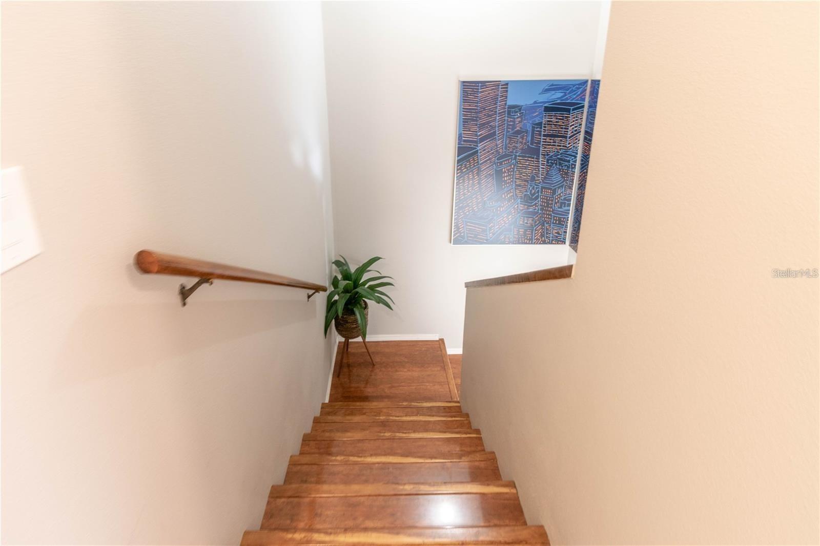 2897 THAXTON DR #65, PALM HARBOR, FL, 34684