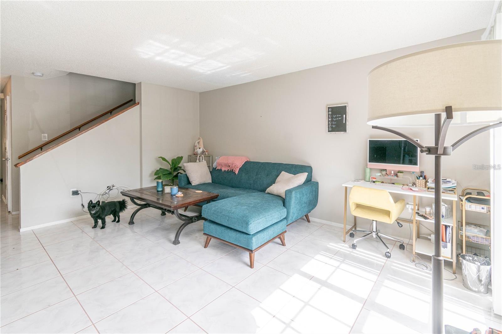 2897 THAXTON DR #65, PALM HARBOR, FL, 34684