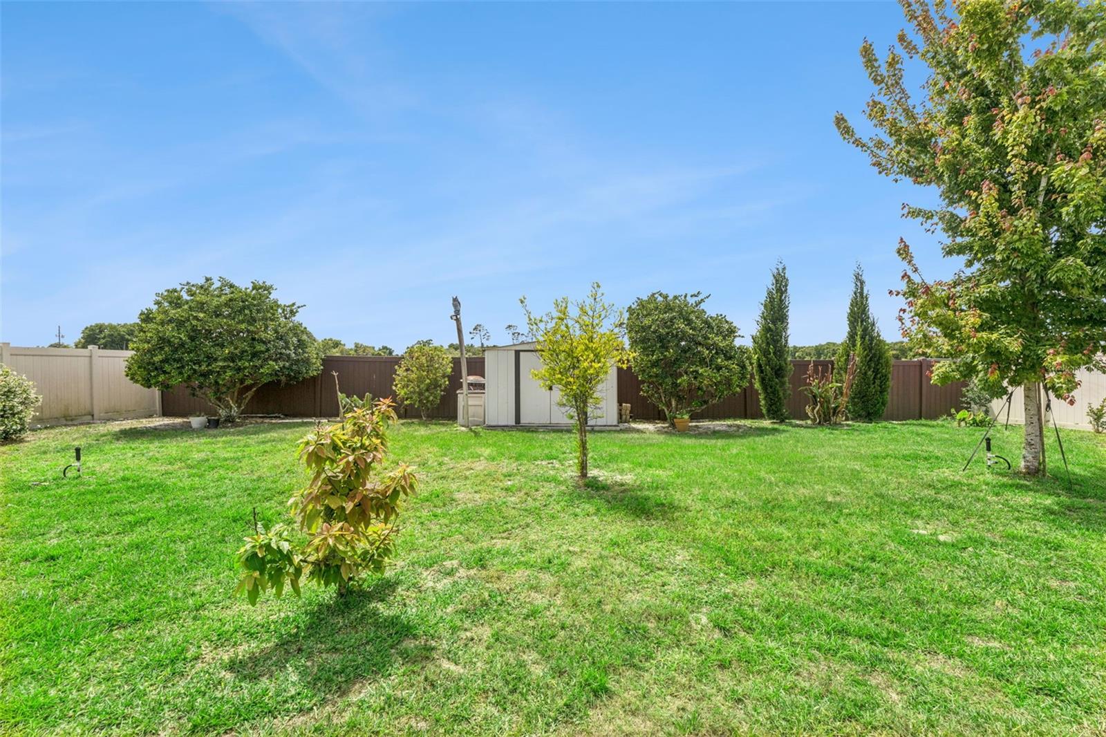 484 CAVESSON ST, APOPKA, FL, 32712