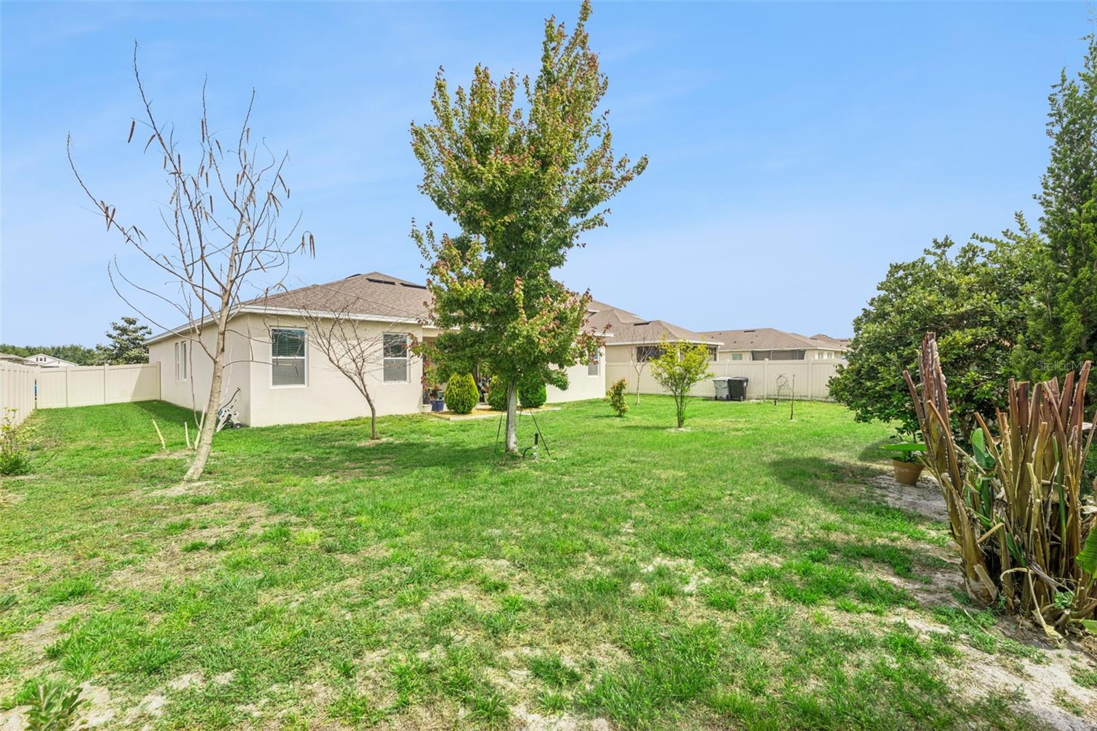 484 CAVESSON ST, APOPKA, FL, 32712