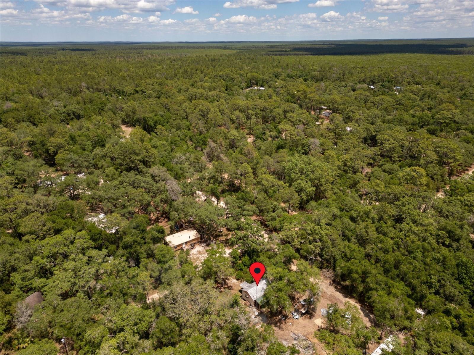 19448 SE 92ND PL, OCKLAWAHA, FL, 32179