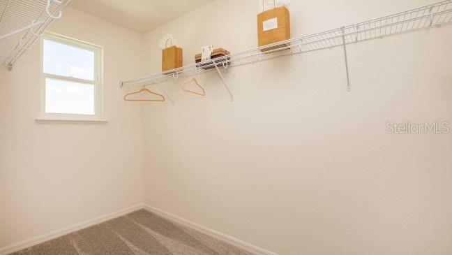 3512 EAGLES CROSSING WAY, LAKELAND, FL, 33803