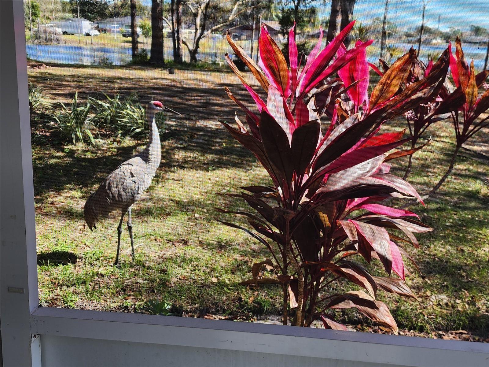 2033 QUINTILIS CT, DELTONA, FL, 32738