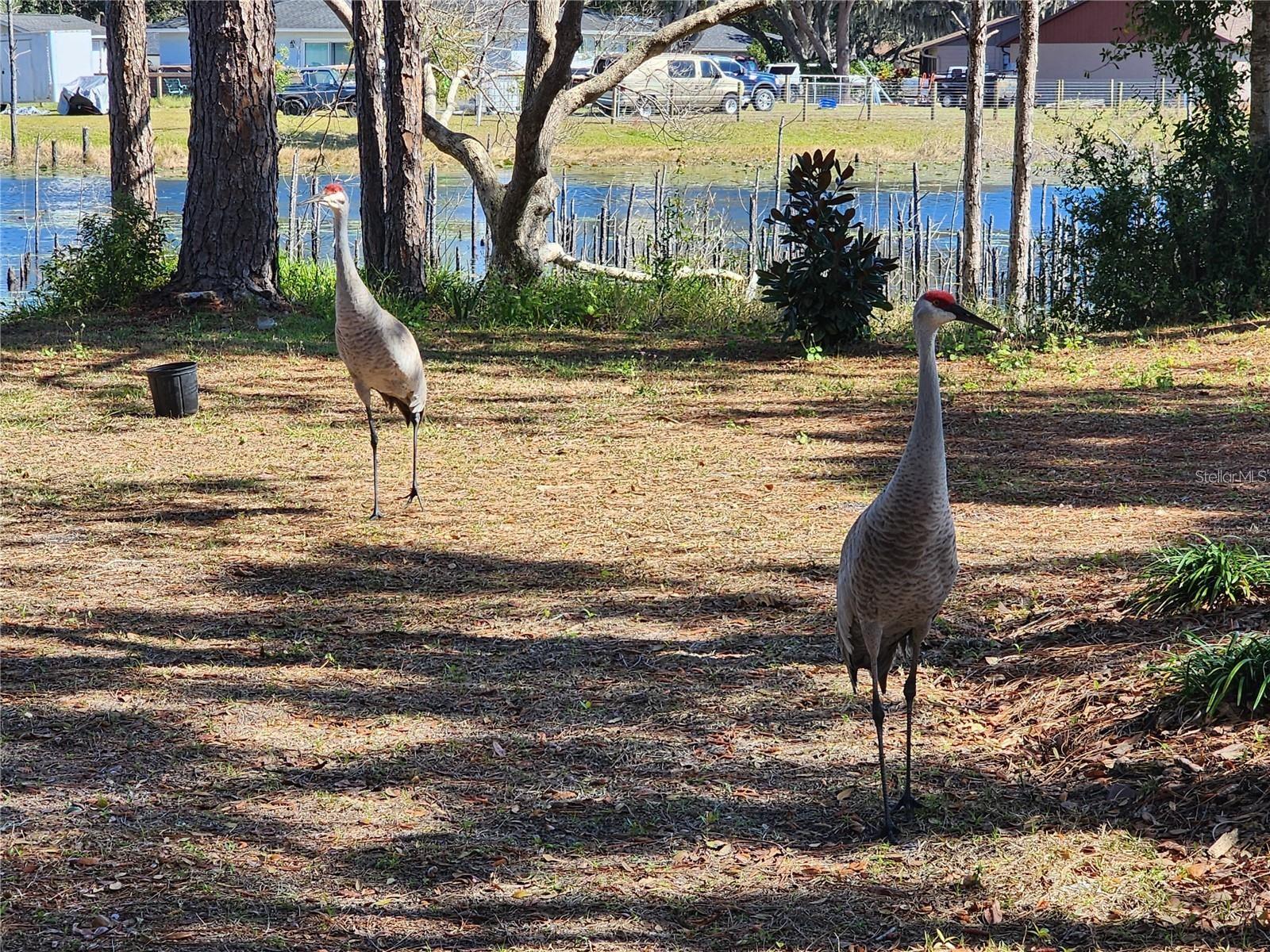 2033 QUINTILIS CT, DELTONA, FL, 32738